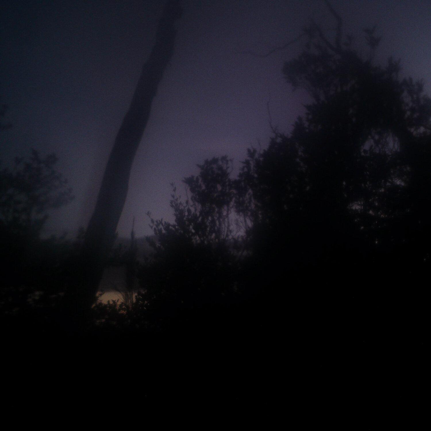 A photo captured from the webcam at the time the audio was recorded