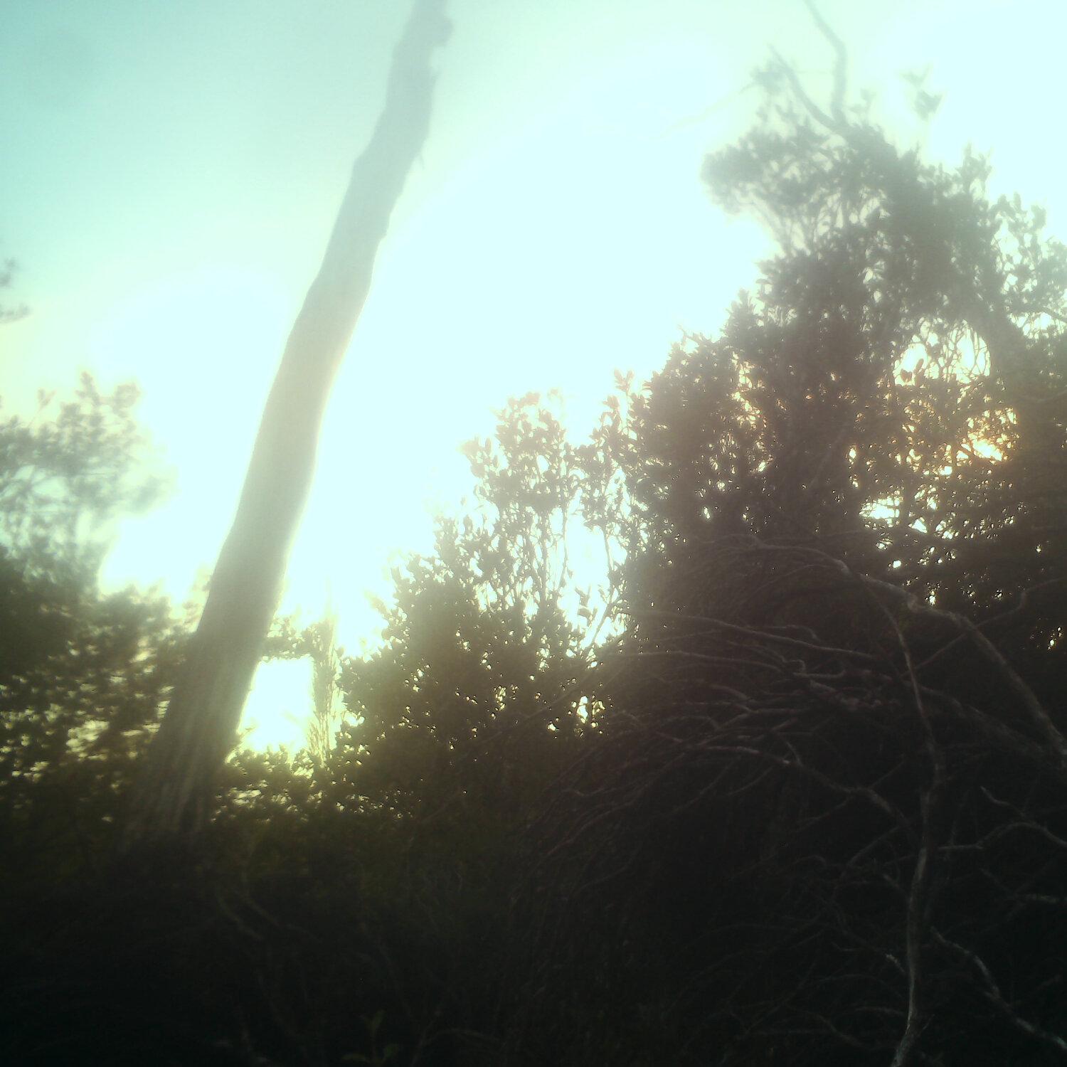 A photo captured from the webcam at the time the audio was recorded