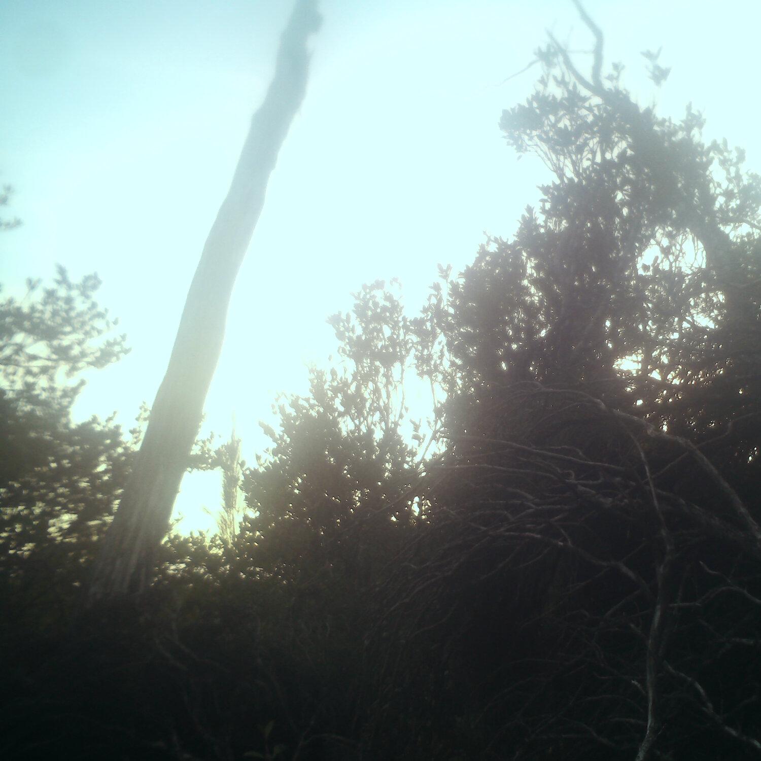 A photo captured from the webcam at the time the audio was recorded