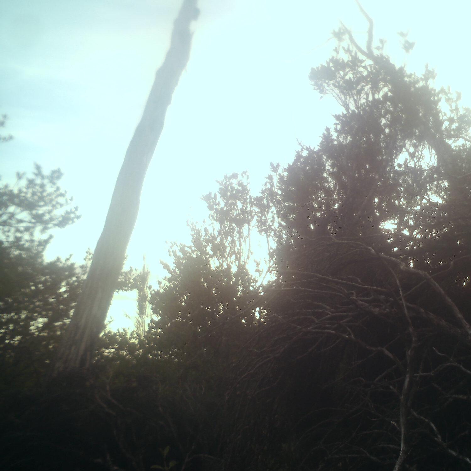 A photo captured from the webcam at the time the audio was recorded