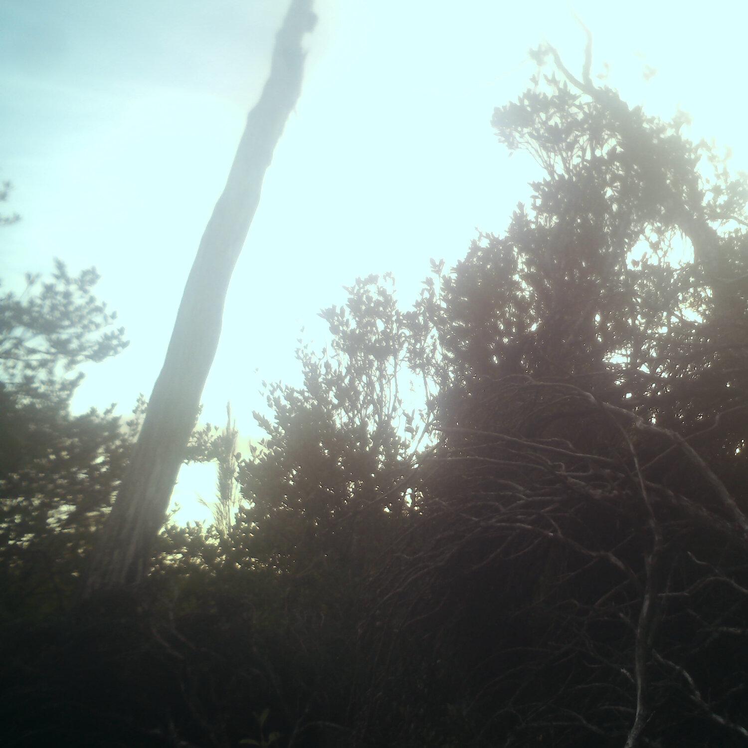 A photo captured from the webcam at the time the audio was recorded