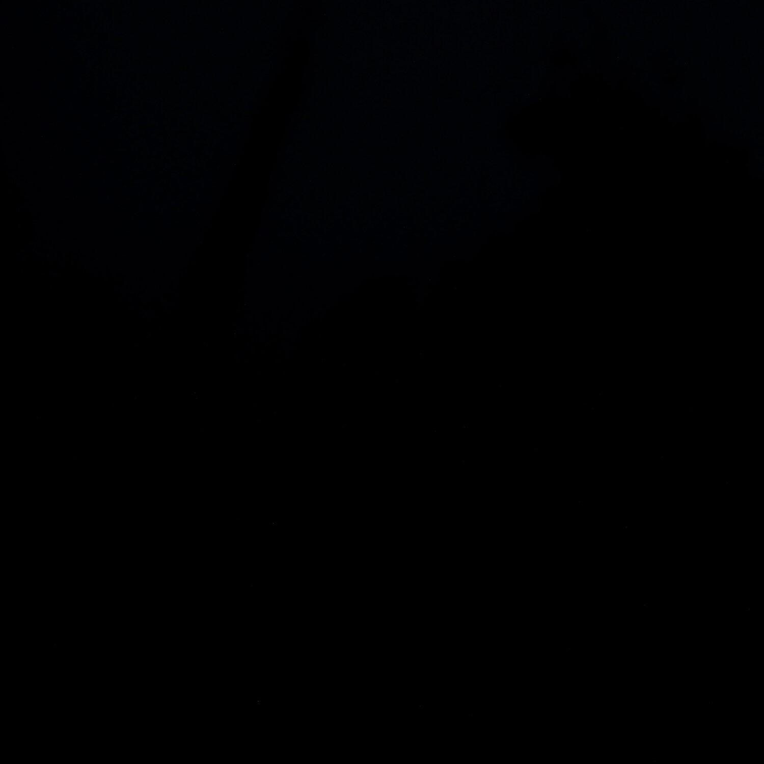 A photo captured from the webcam at the time the audio was recorded