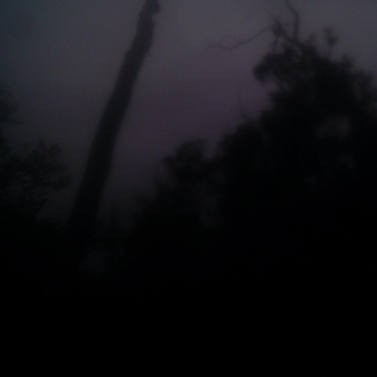 A photo captured from the webcam at the time the audio was recorded
