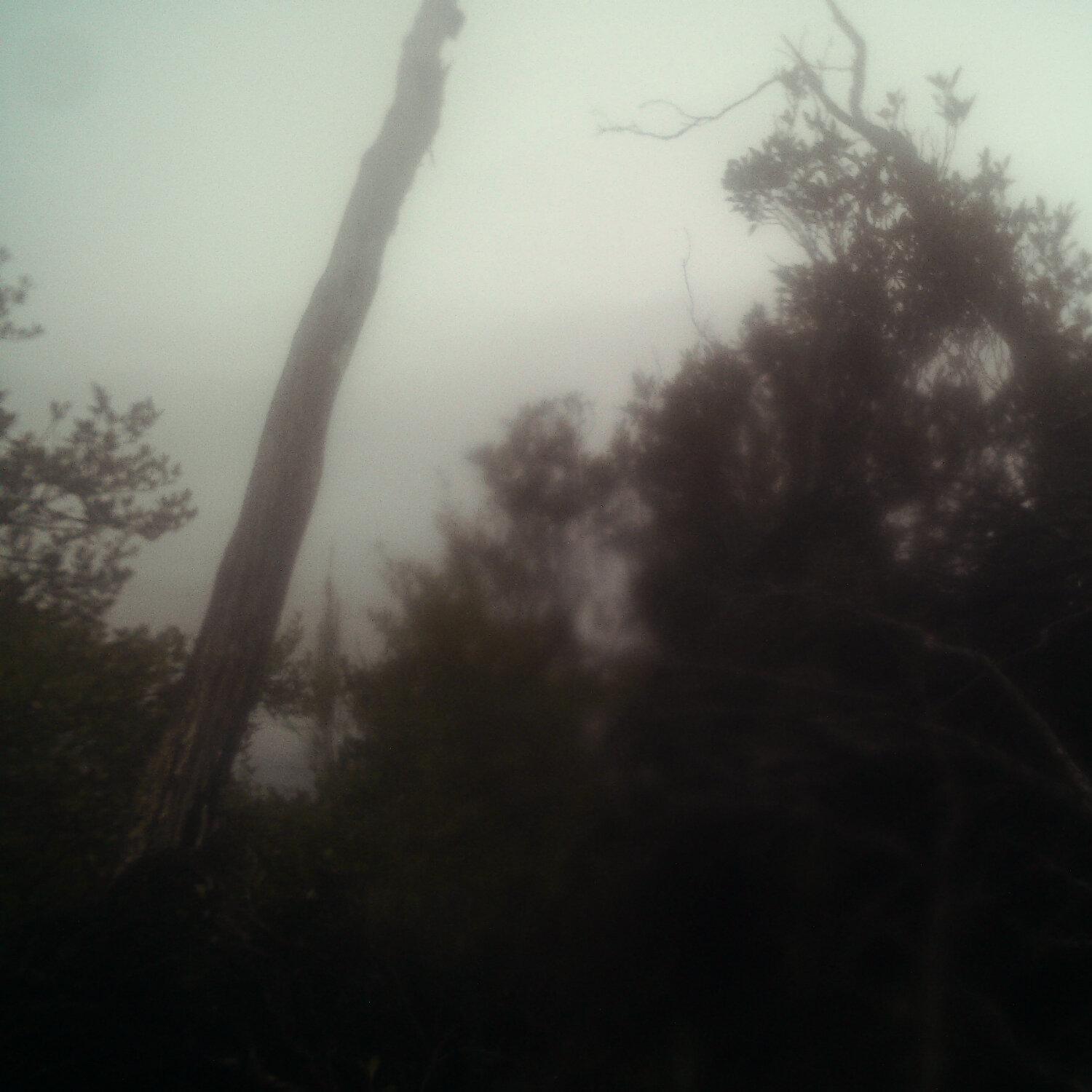 A photo captured from the webcam at the time the audio was recorded