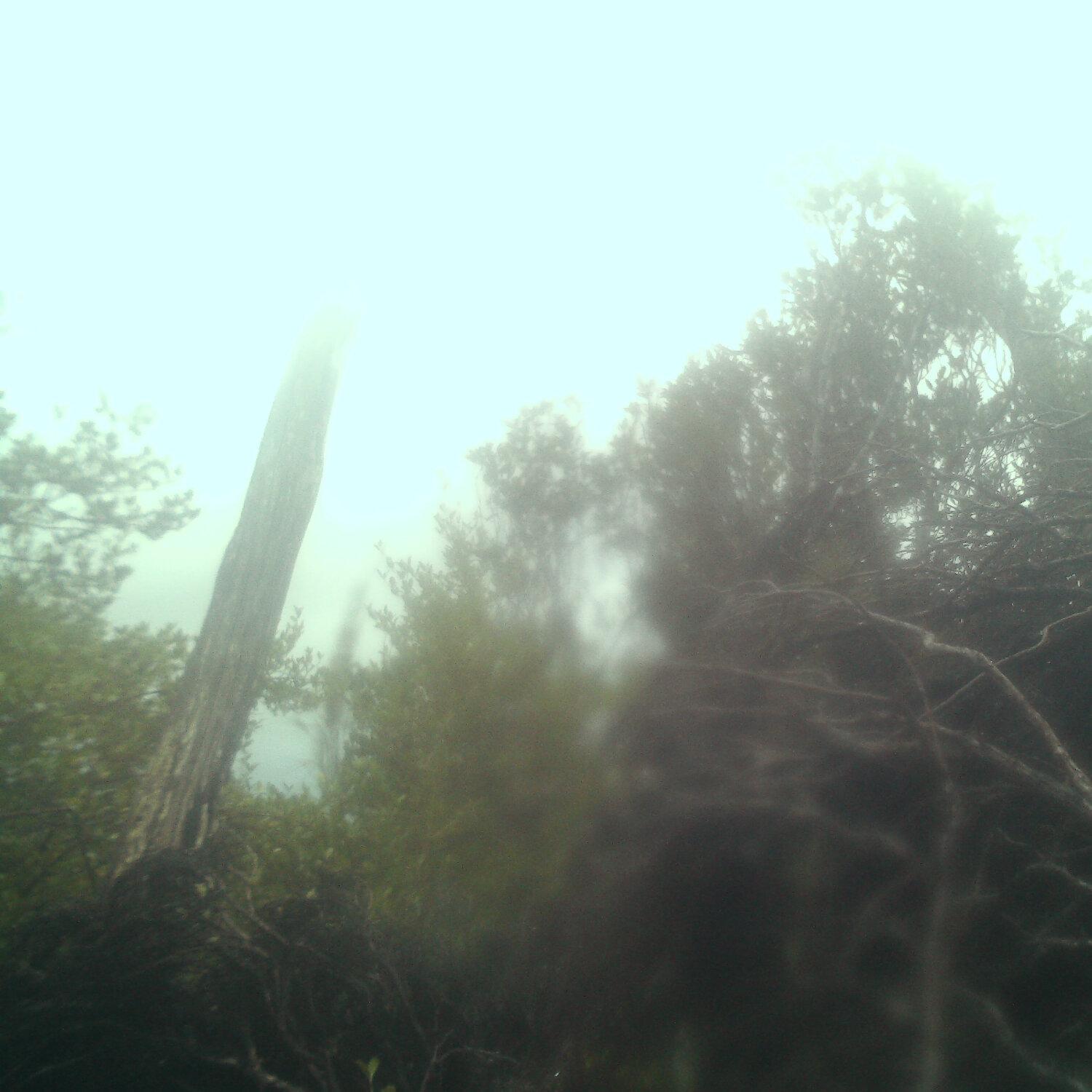 A photo captured from the webcam at the time the audio was recorded
