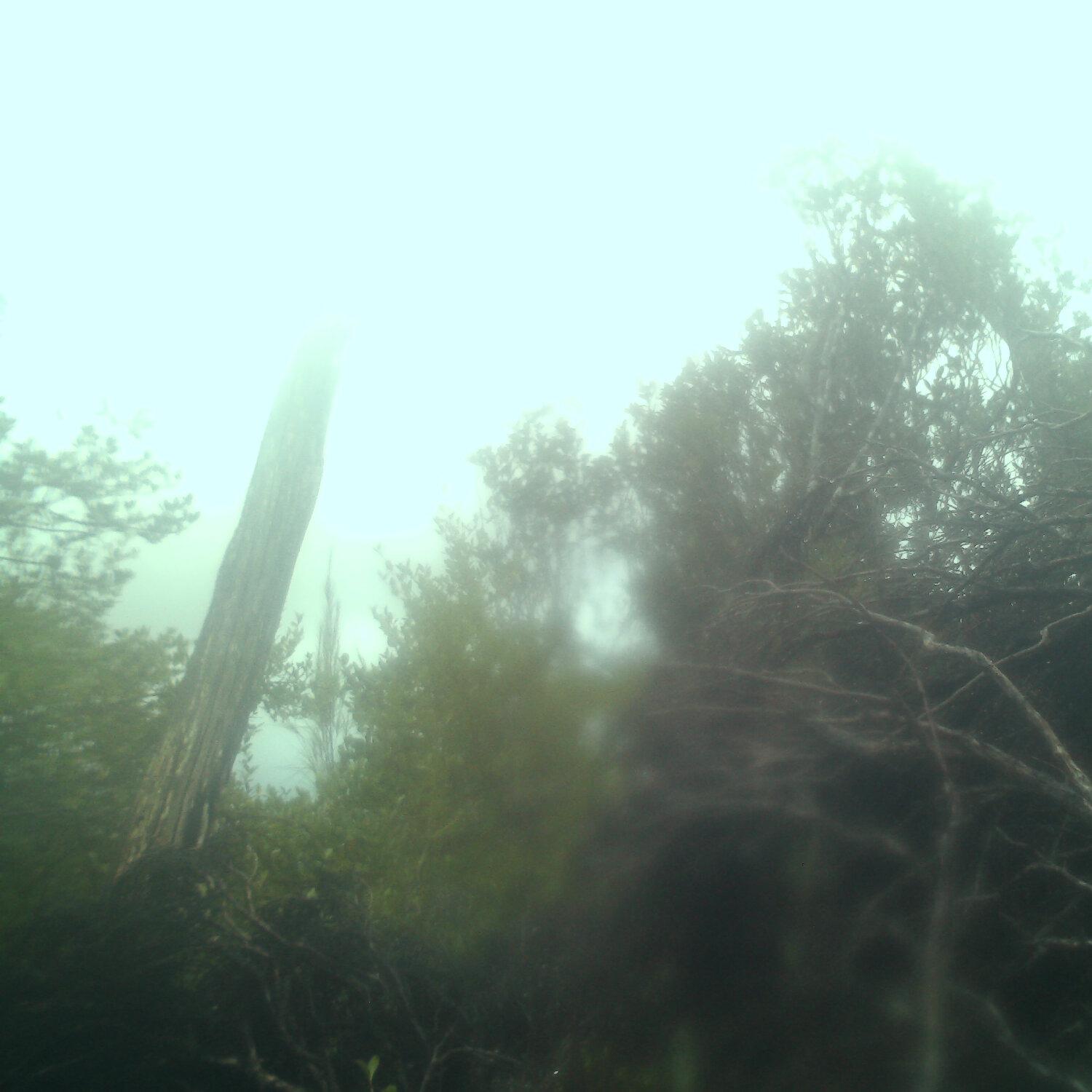 A photo captured from the webcam at the time the audio was recorded