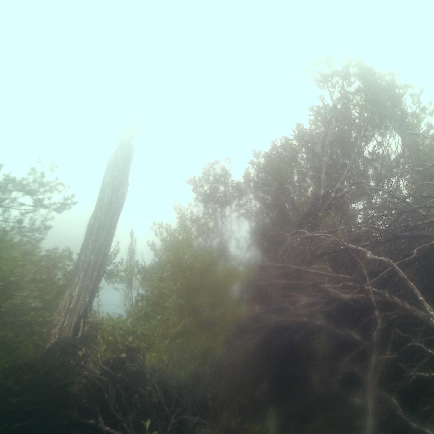 A photo captured from the webcam at the time the audio was recorded
