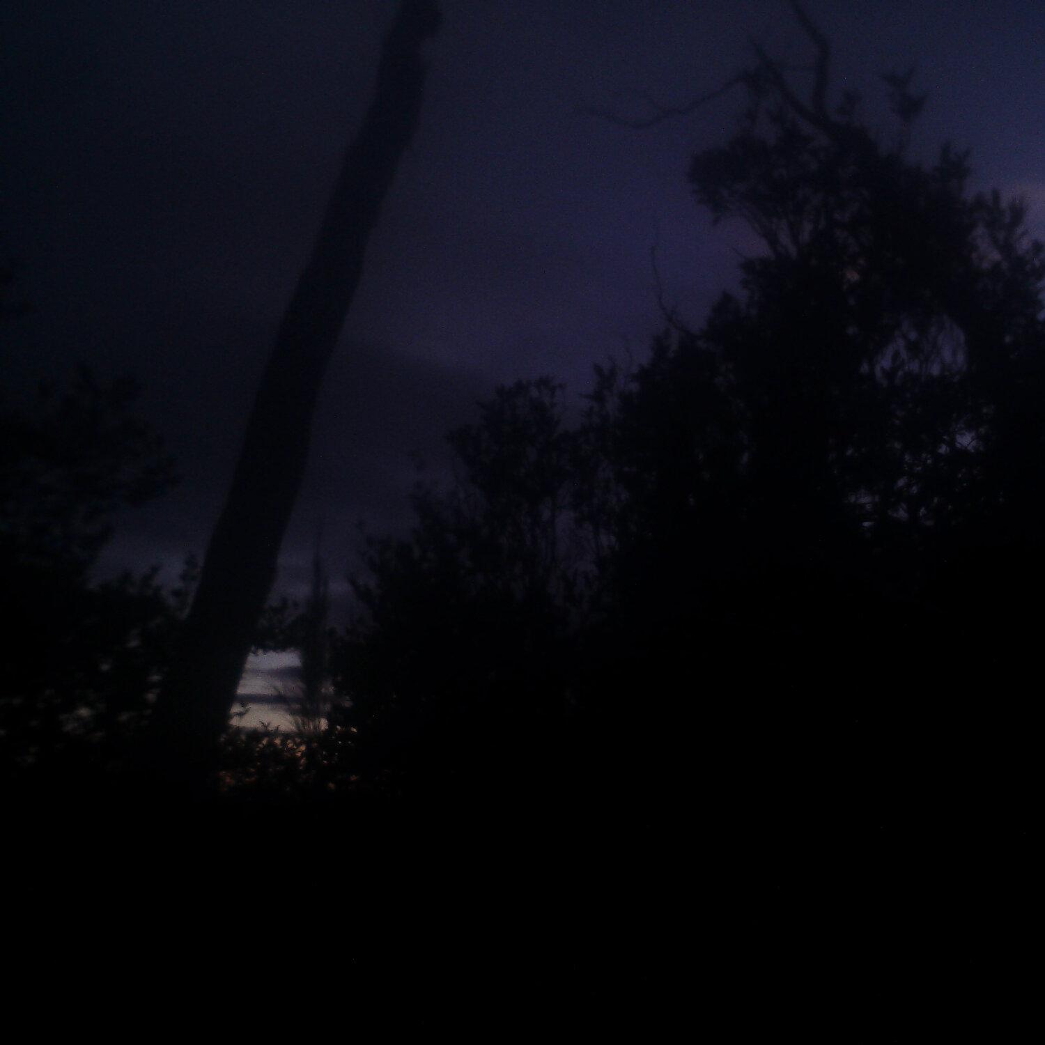 A photo captured from the webcam at the time the audio was recorded