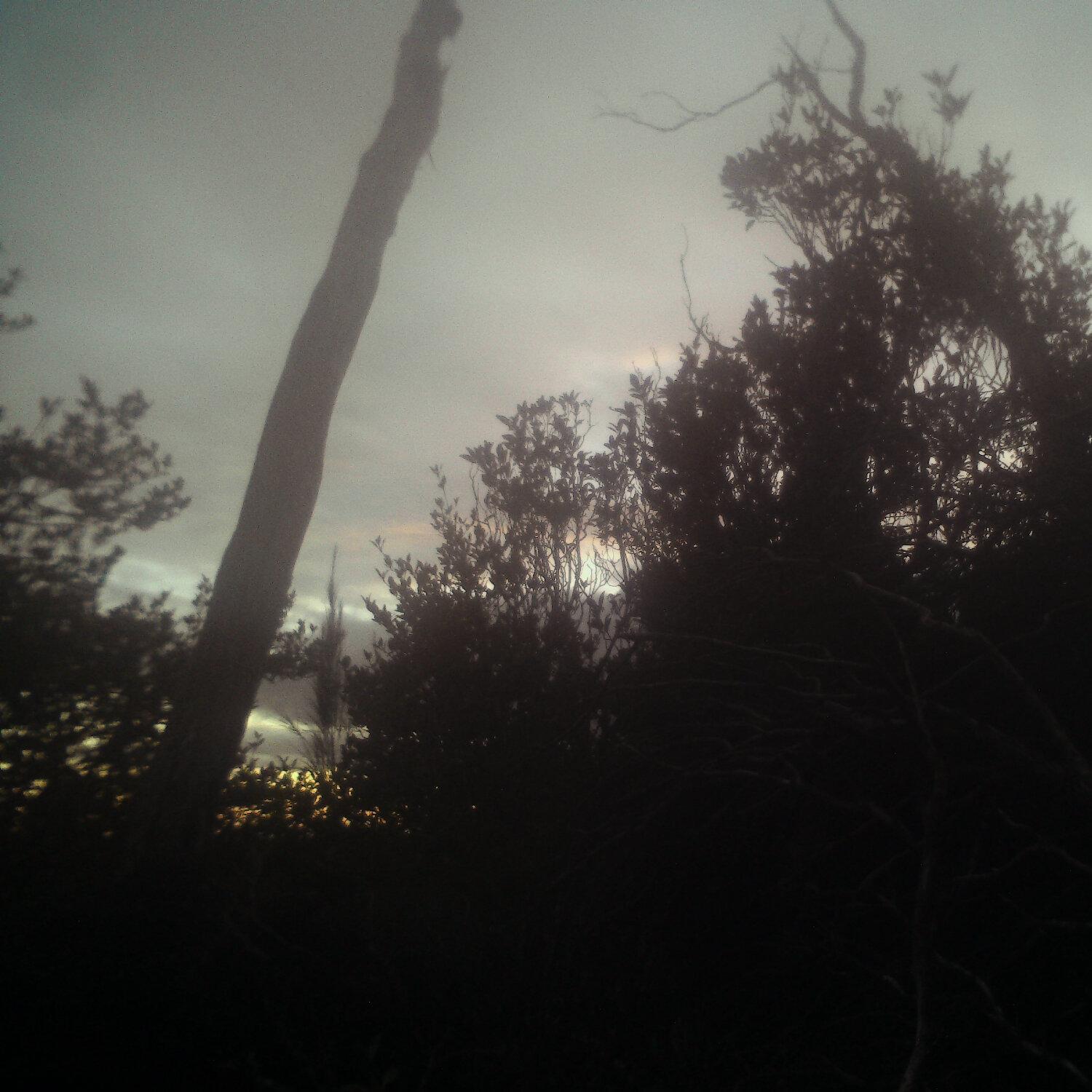 A photo captured from the webcam at the time the audio was recorded