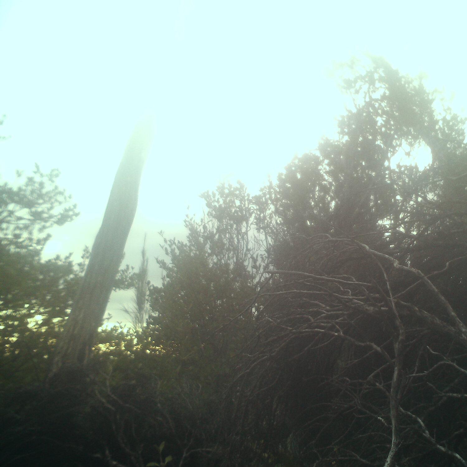 A photo captured from the webcam at the time the audio was recorded