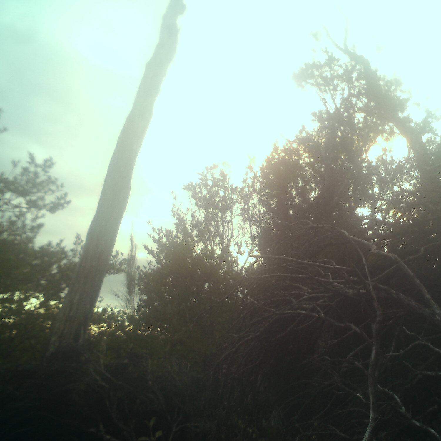 A photo captured from the webcam at the time the audio was recorded