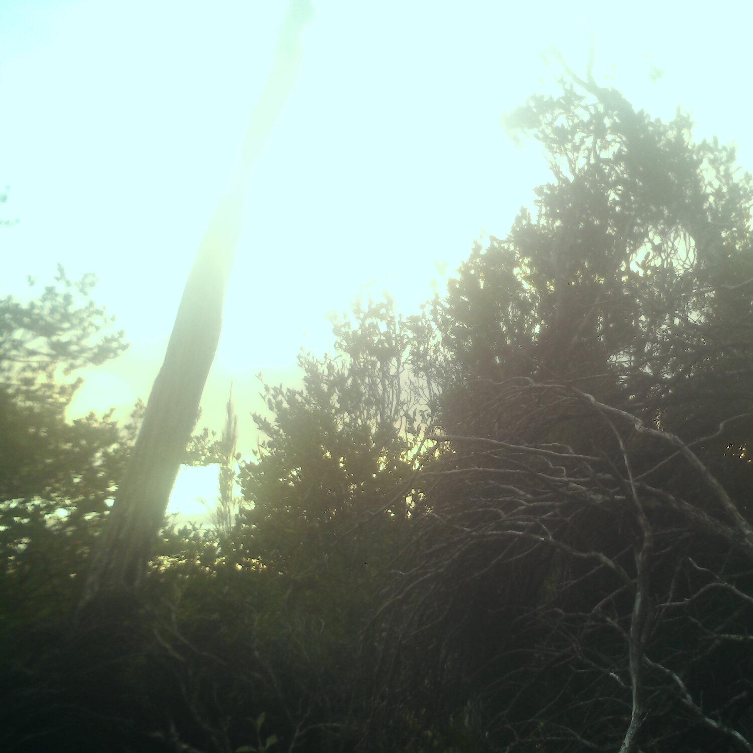 A photo captured from the webcam at the time the audio was recorded