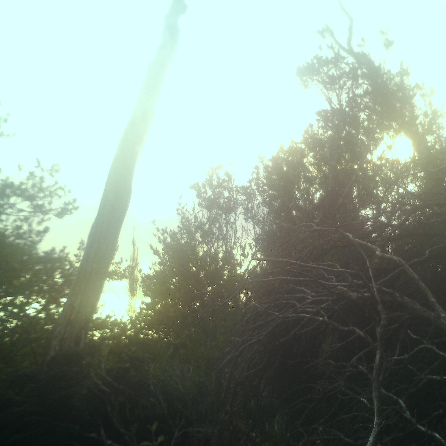 A photo captured from the webcam at the time the audio was recorded
