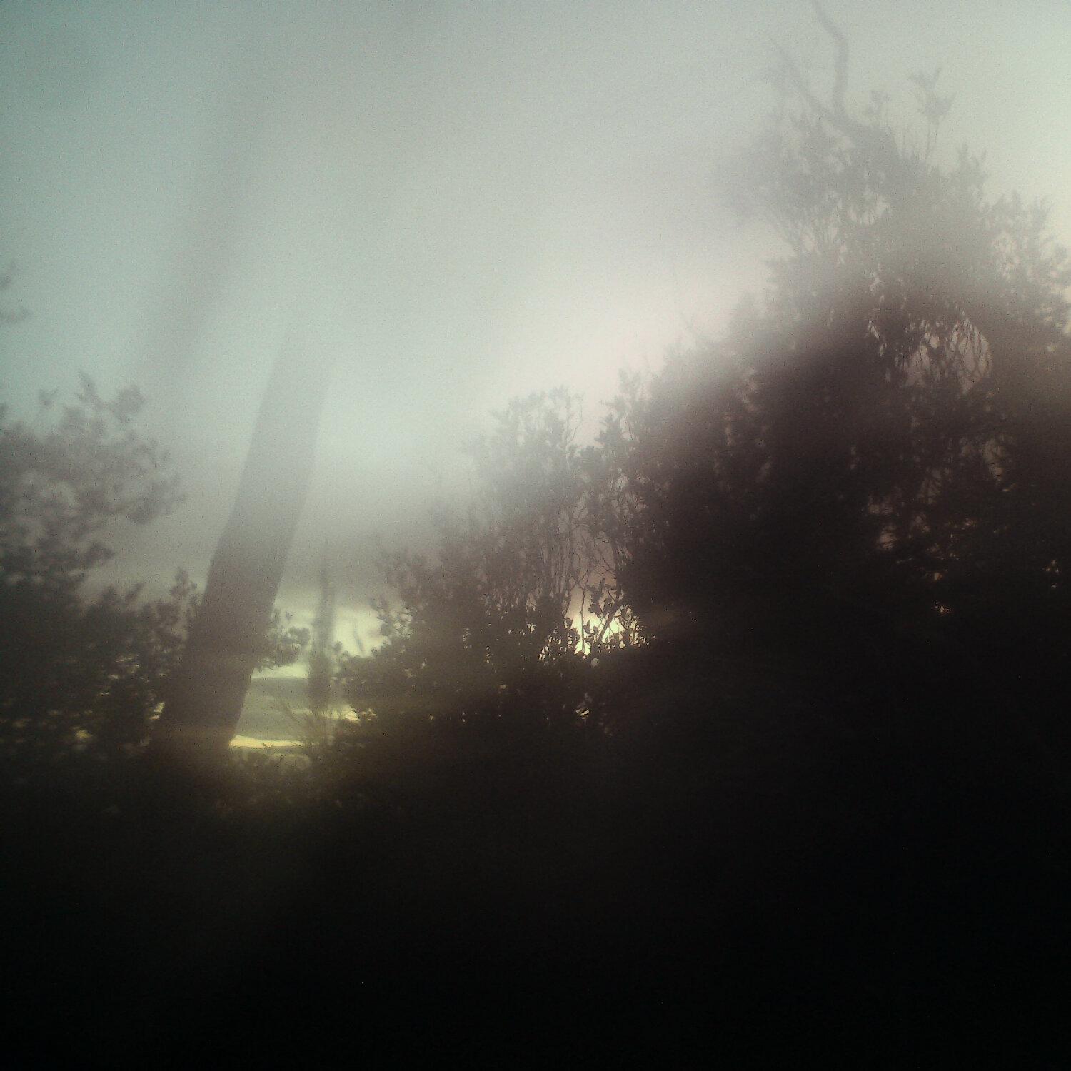 A photo captured from the webcam at the time the audio was recorded