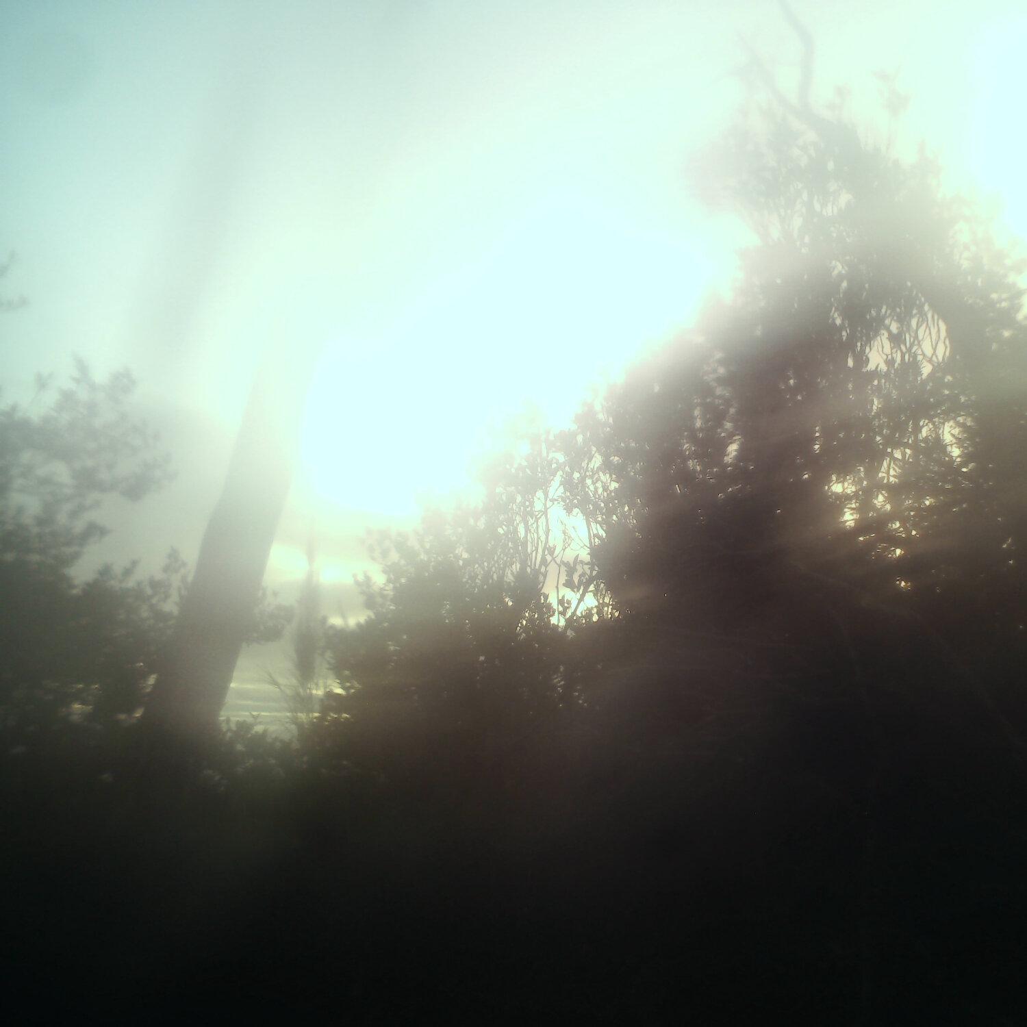 A photo captured from the webcam at the time the audio was recorded
