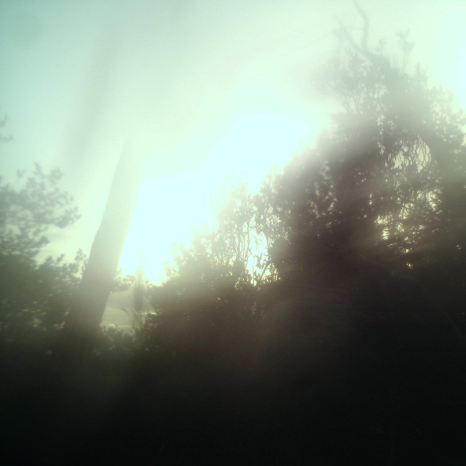 A photo captured from the webcam at the time the audio was recorded