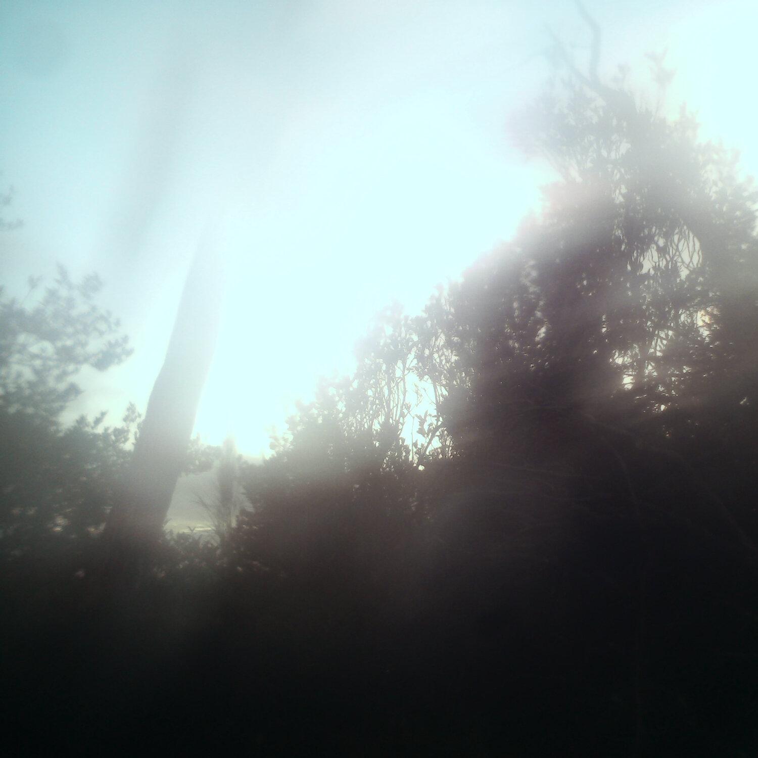 A photo captured from the webcam at the time the audio was recorded