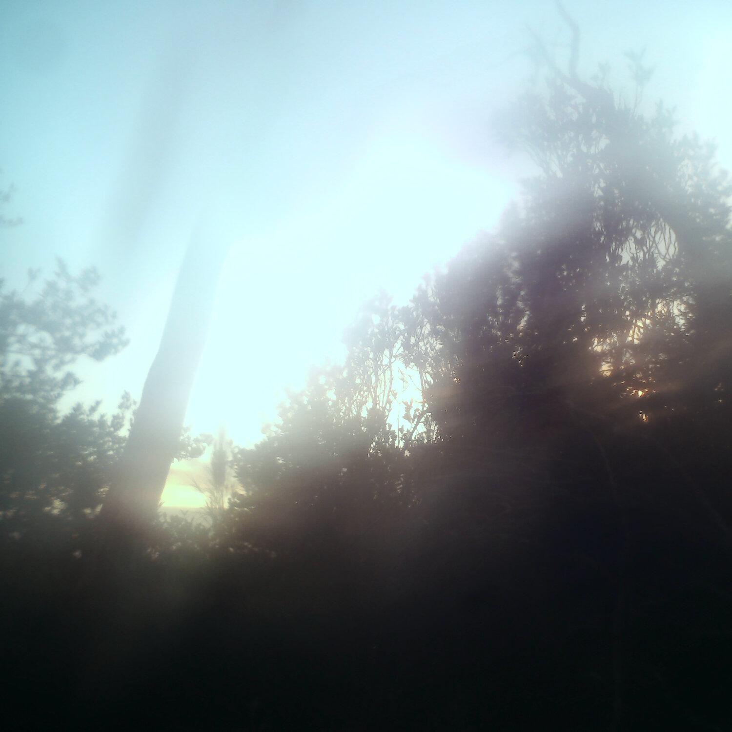 A photo captured from the webcam at the time the audio was recorded
