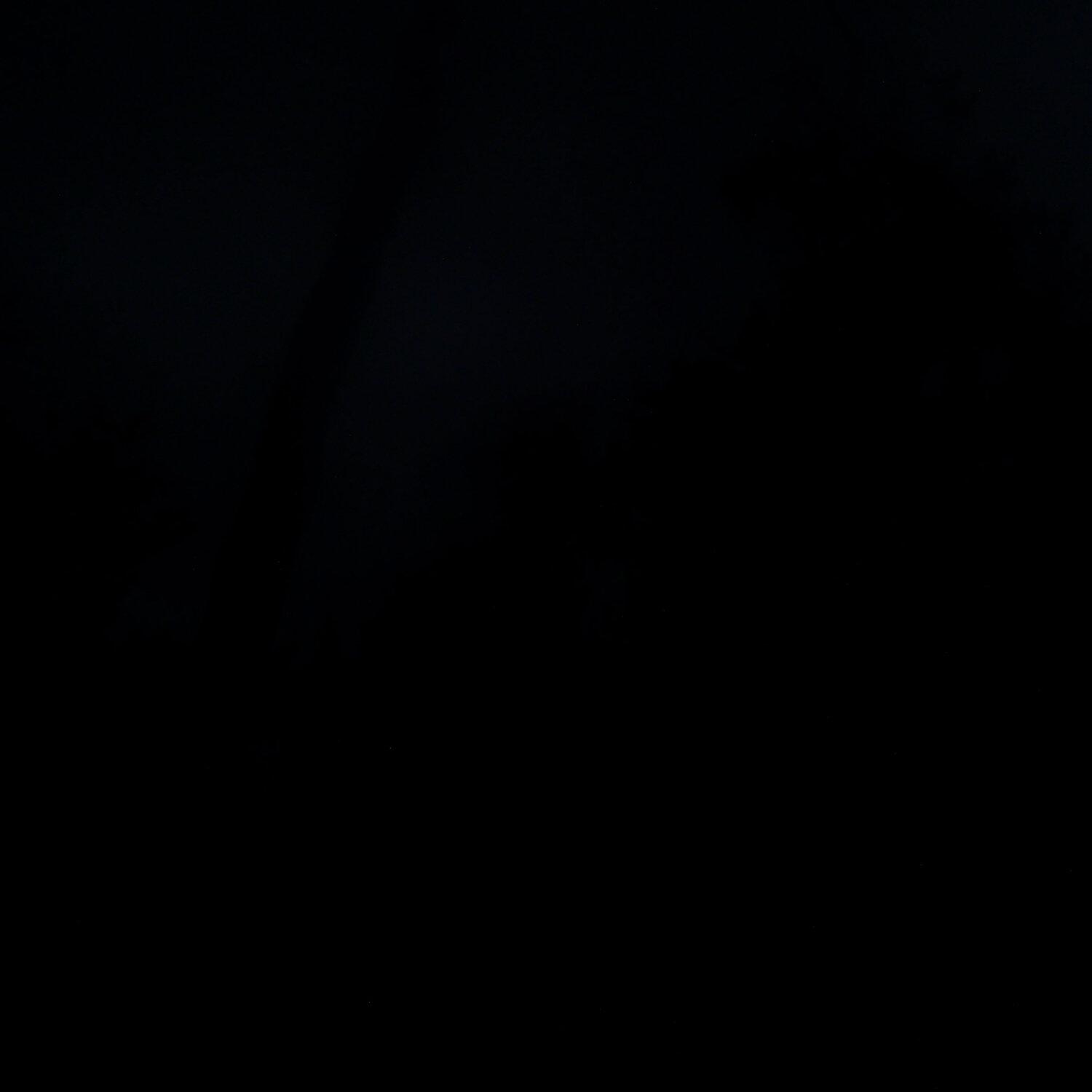 A photo captured from the webcam at the time the audio was recorded