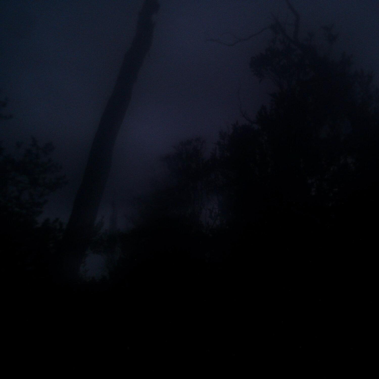 A photo captured from the webcam at the time the audio was recorded