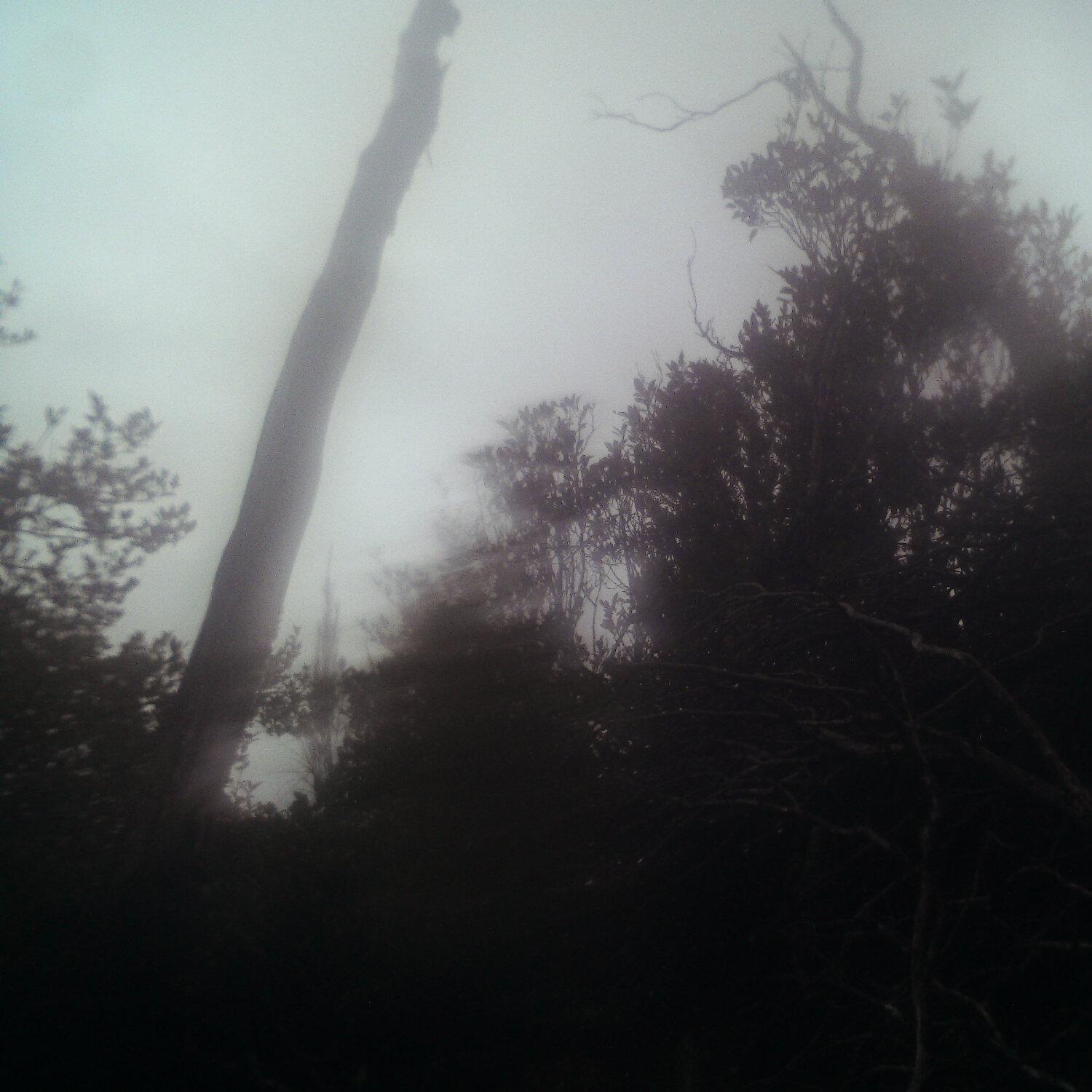 A photo captured from the webcam at the time the audio was recorded