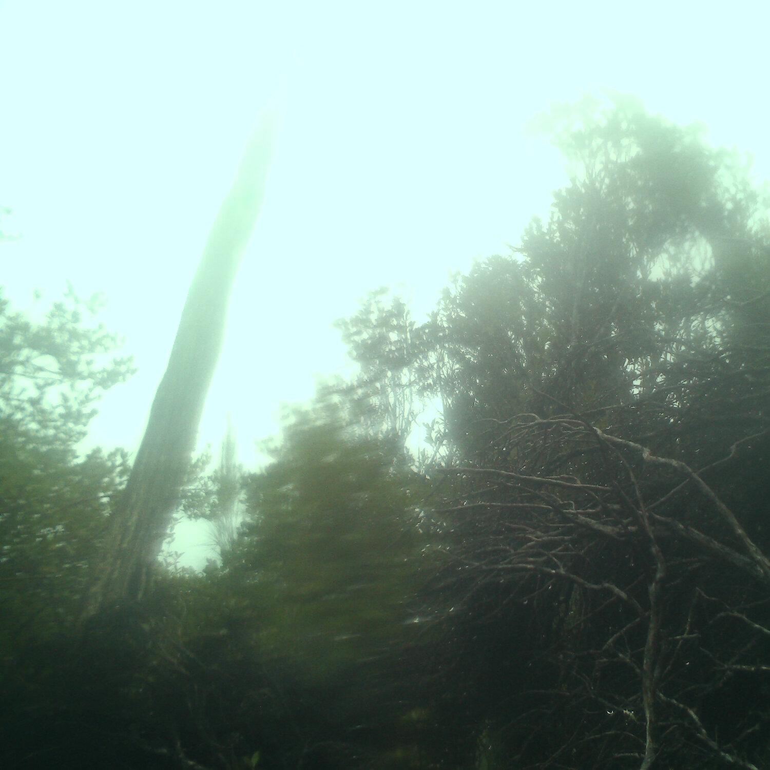 A photo captured from the webcam at the time the audio was recorded