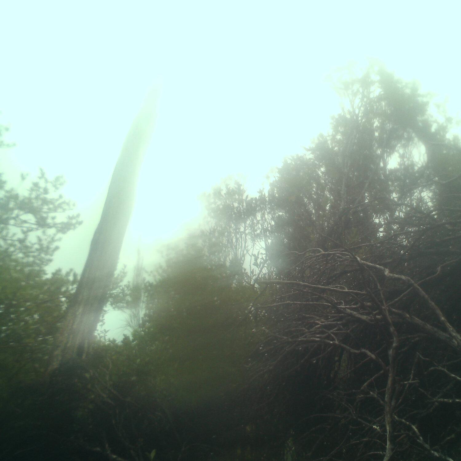 A photo captured from the webcam at the time the audio was recorded
