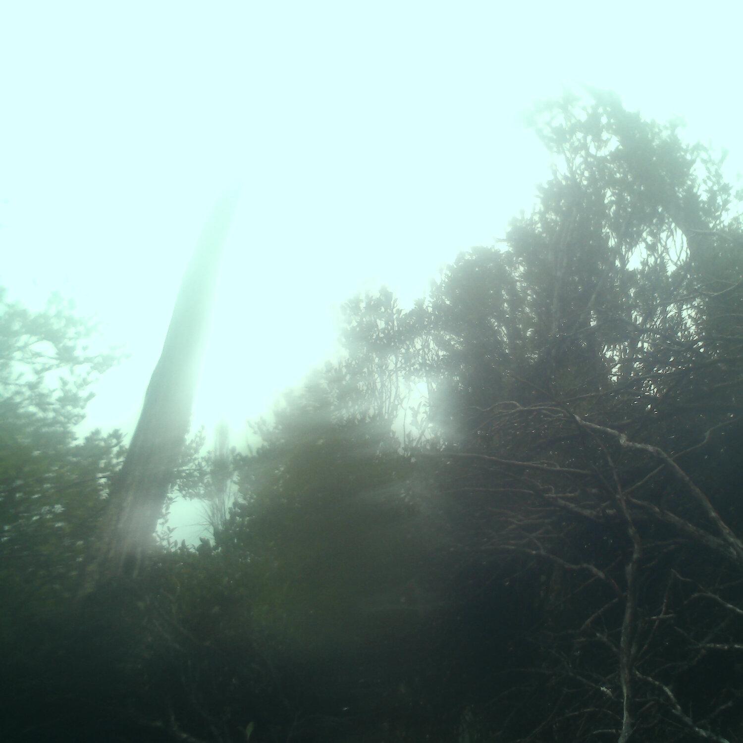 A photo captured from the webcam at the time the audio was recorded