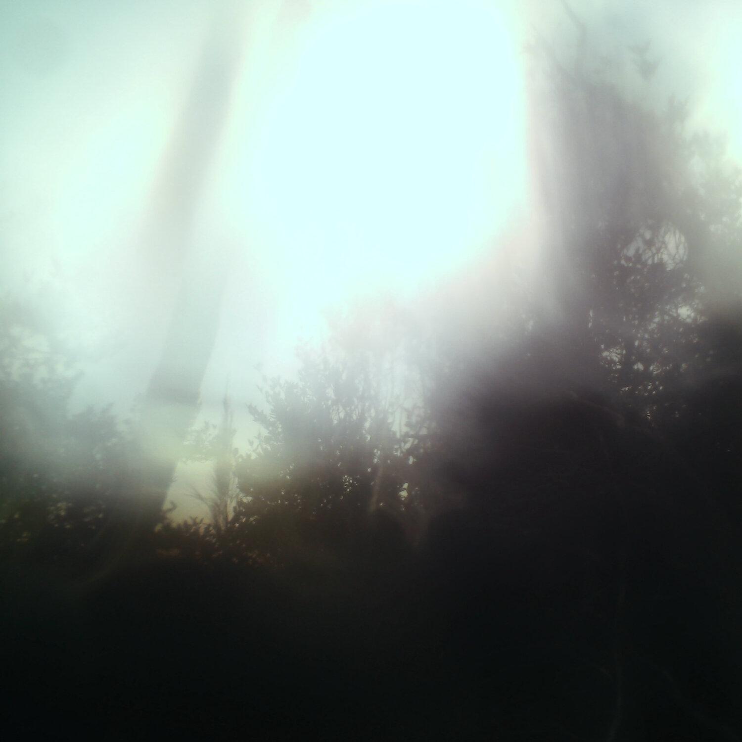 A photo captured from the webcam at the time the audio was recorded