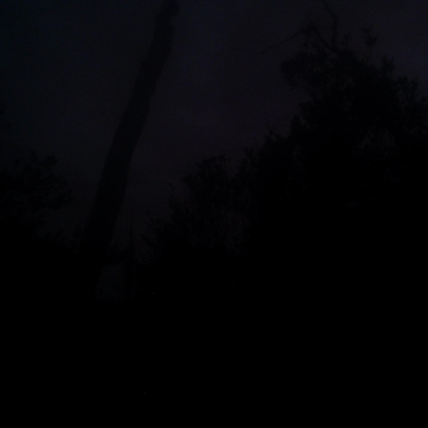 A photo captured from the webcam at the time the audio was recorded