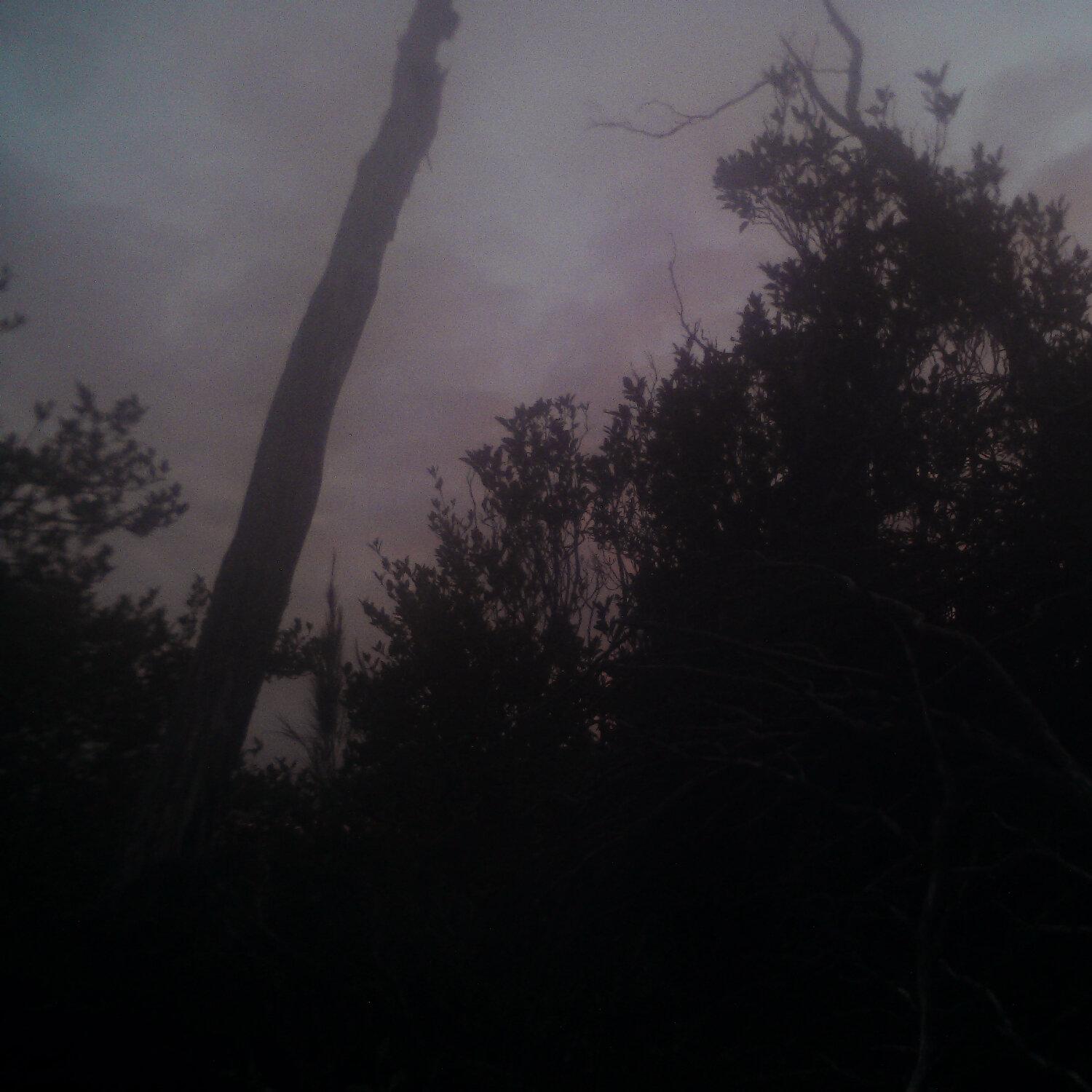 A photo captured from the webcam at the time the audio was recorded