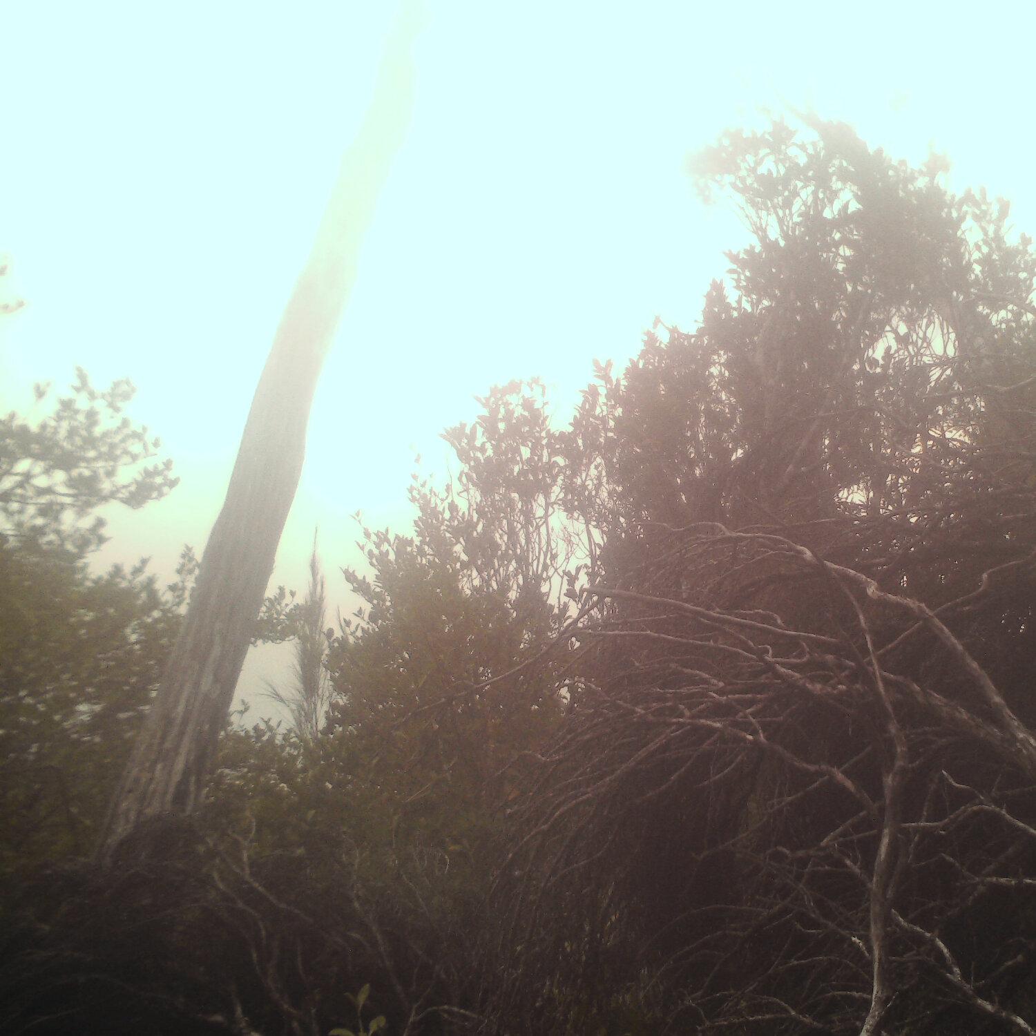 A photo captured from the webcam at the time the audio was recorded