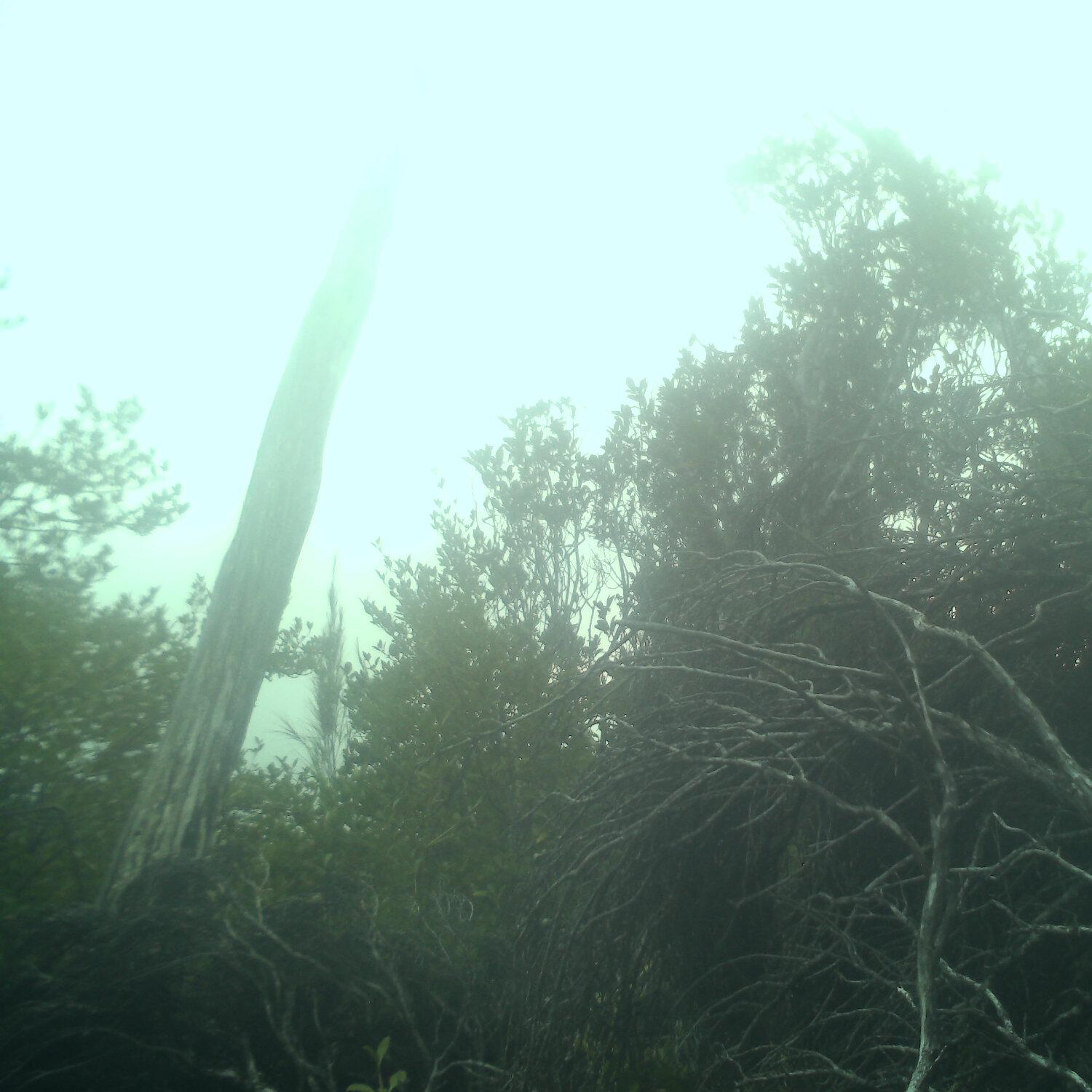A photo captured from the webcam at the time the audio was recorded