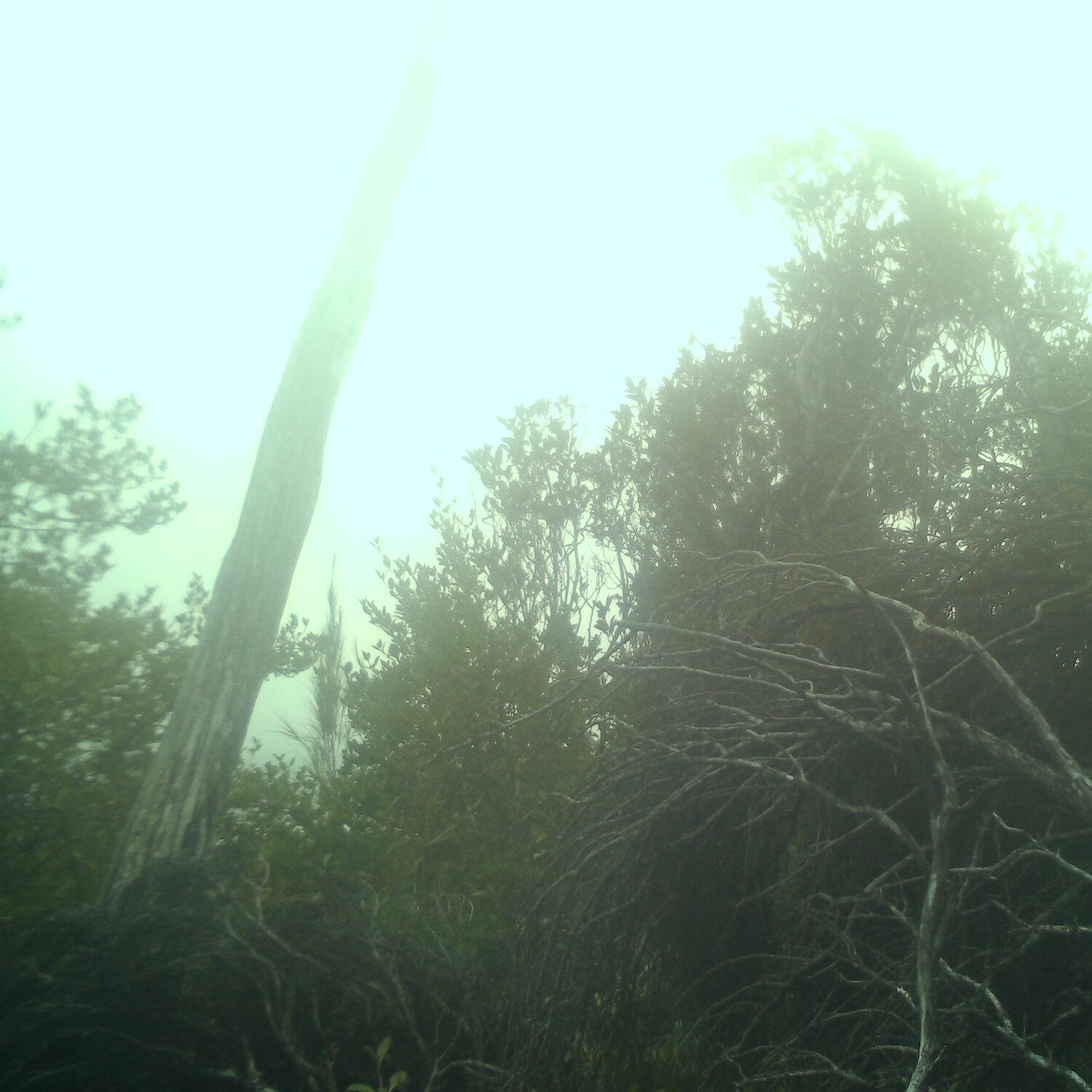 A photo captured from the webcam at the time the audio was recorded