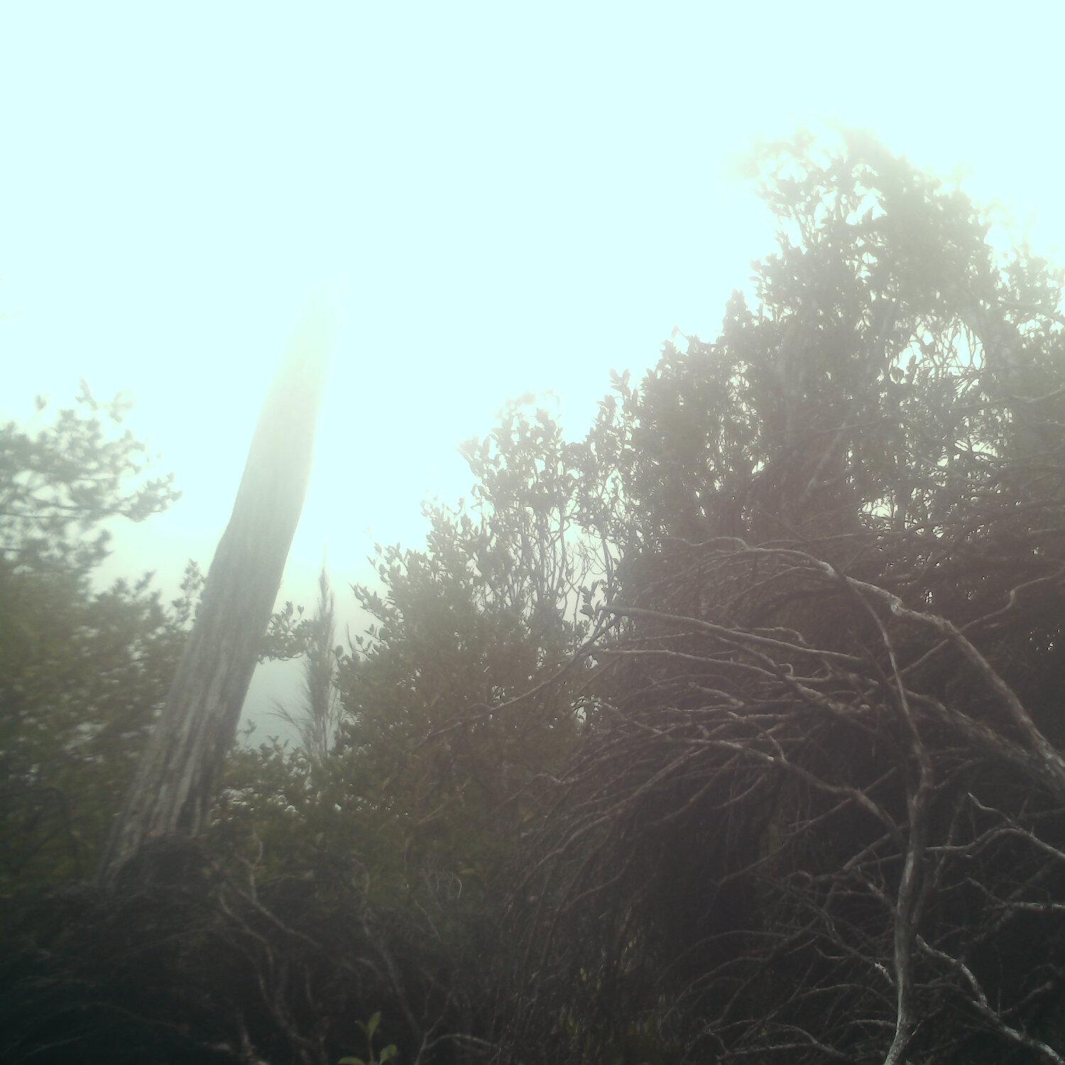 A photo captured from the webcam at the time the audio was recorded