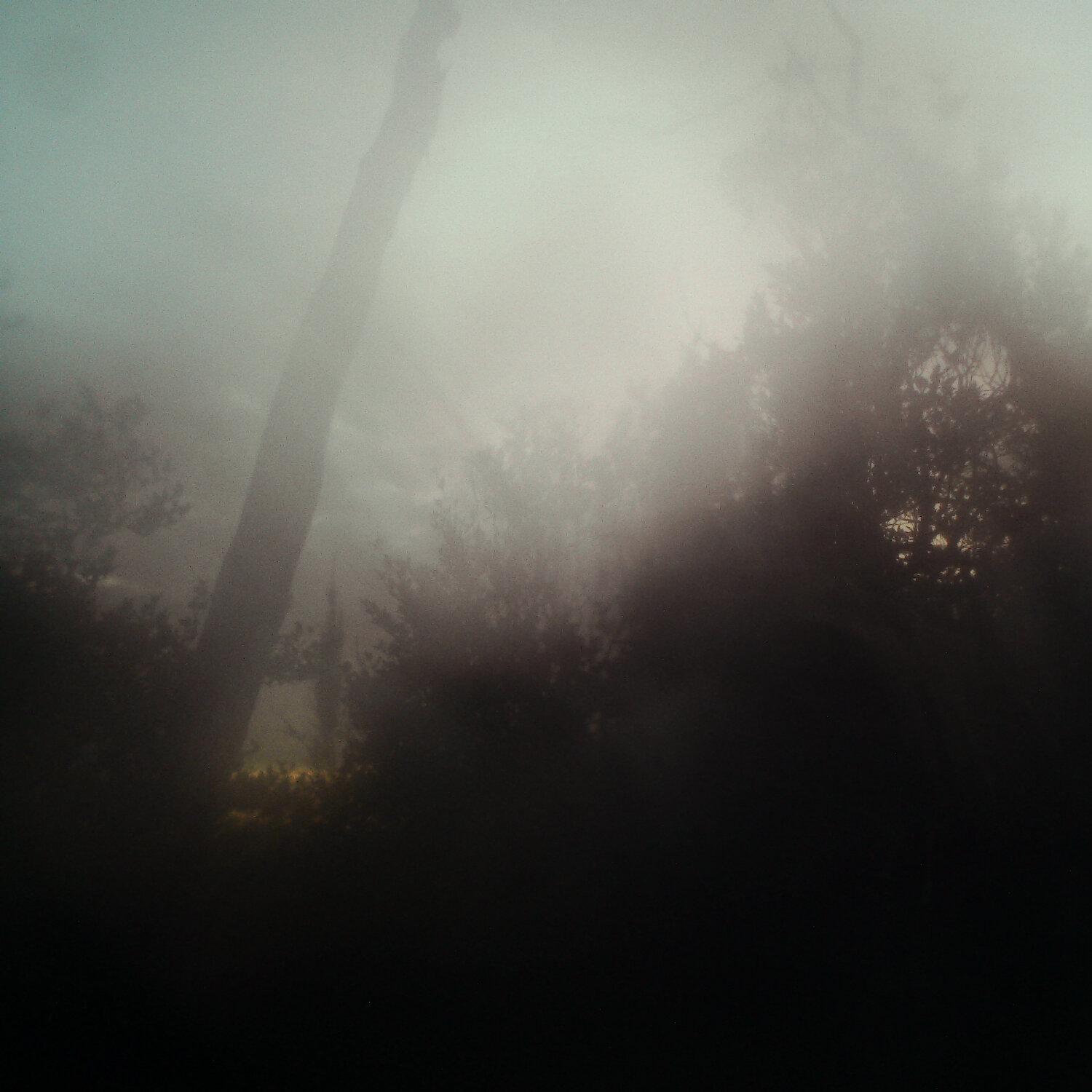 A photo captured from the webcam at the time the audio was recorded