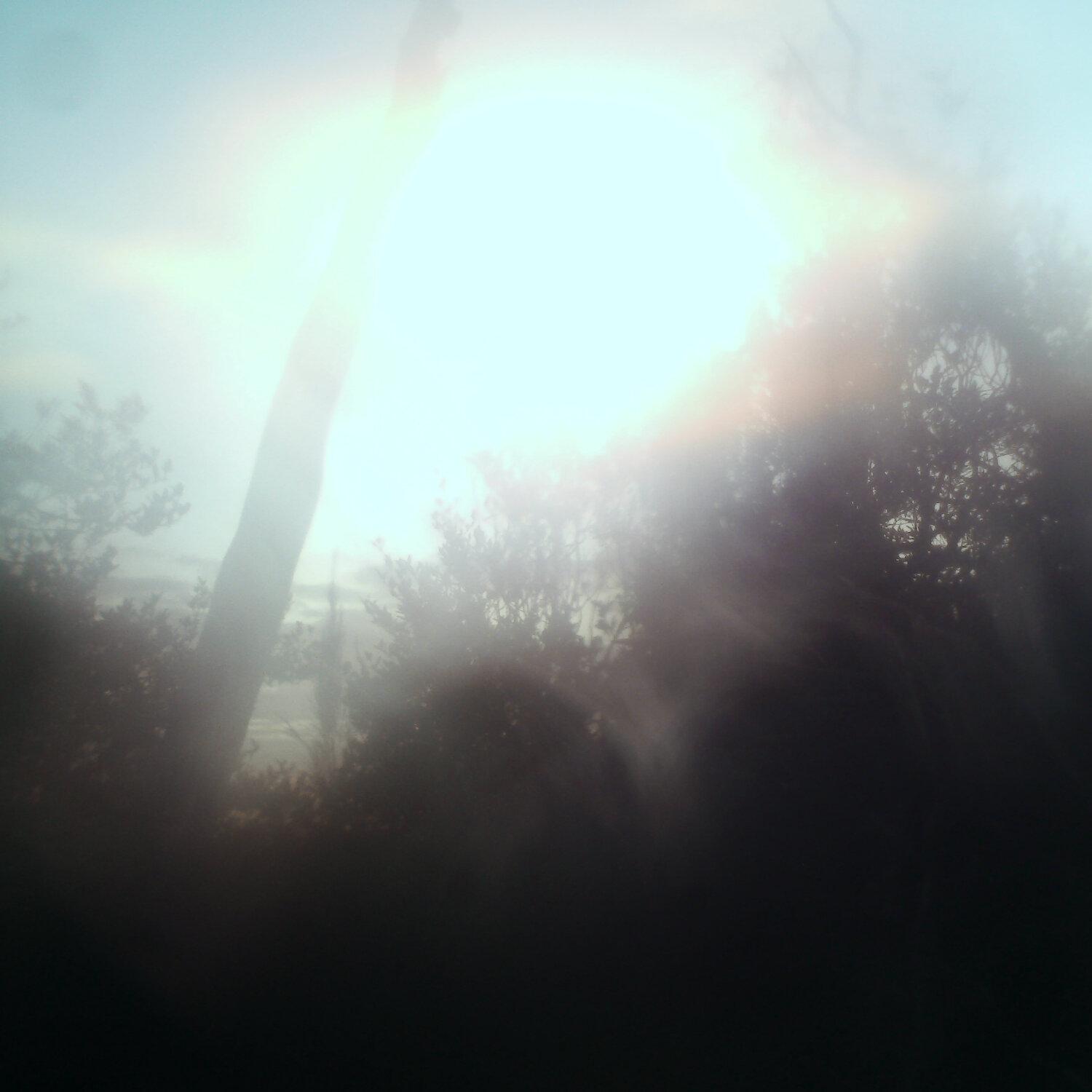 A photo captured from the webcam at the time the audio was recorded