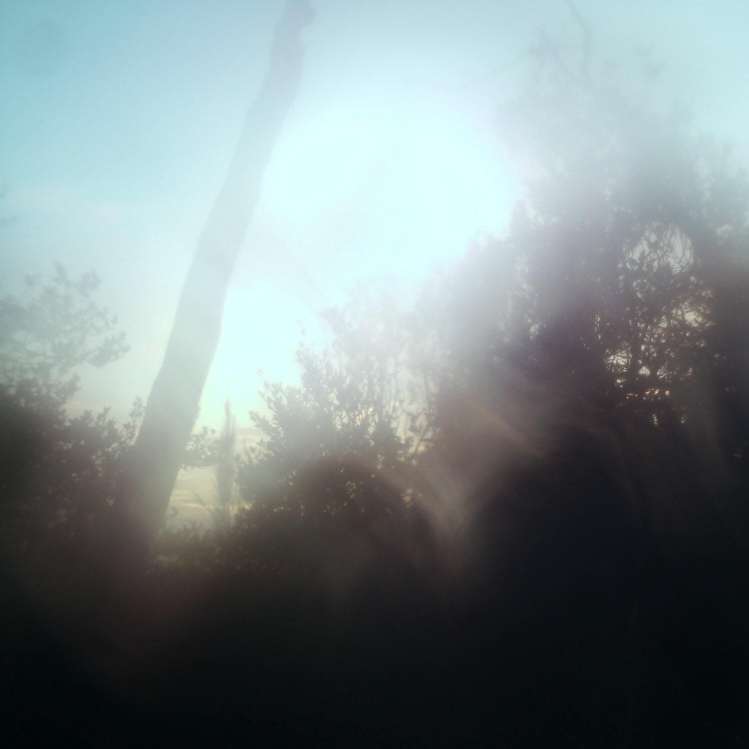 A photo captured from the webcam at the time the audio was recorded