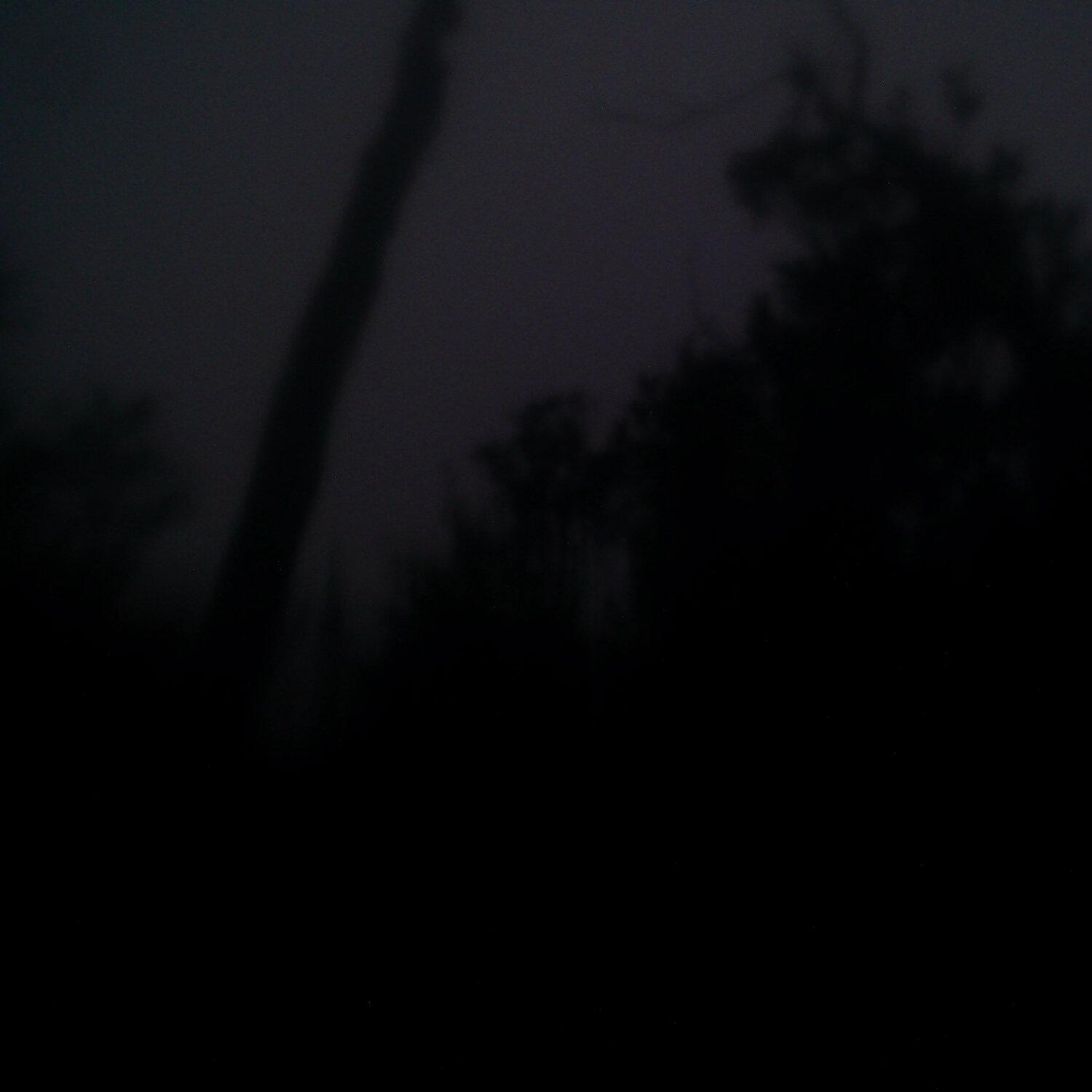 A photo captured from the webcam at the time the audio was recorded