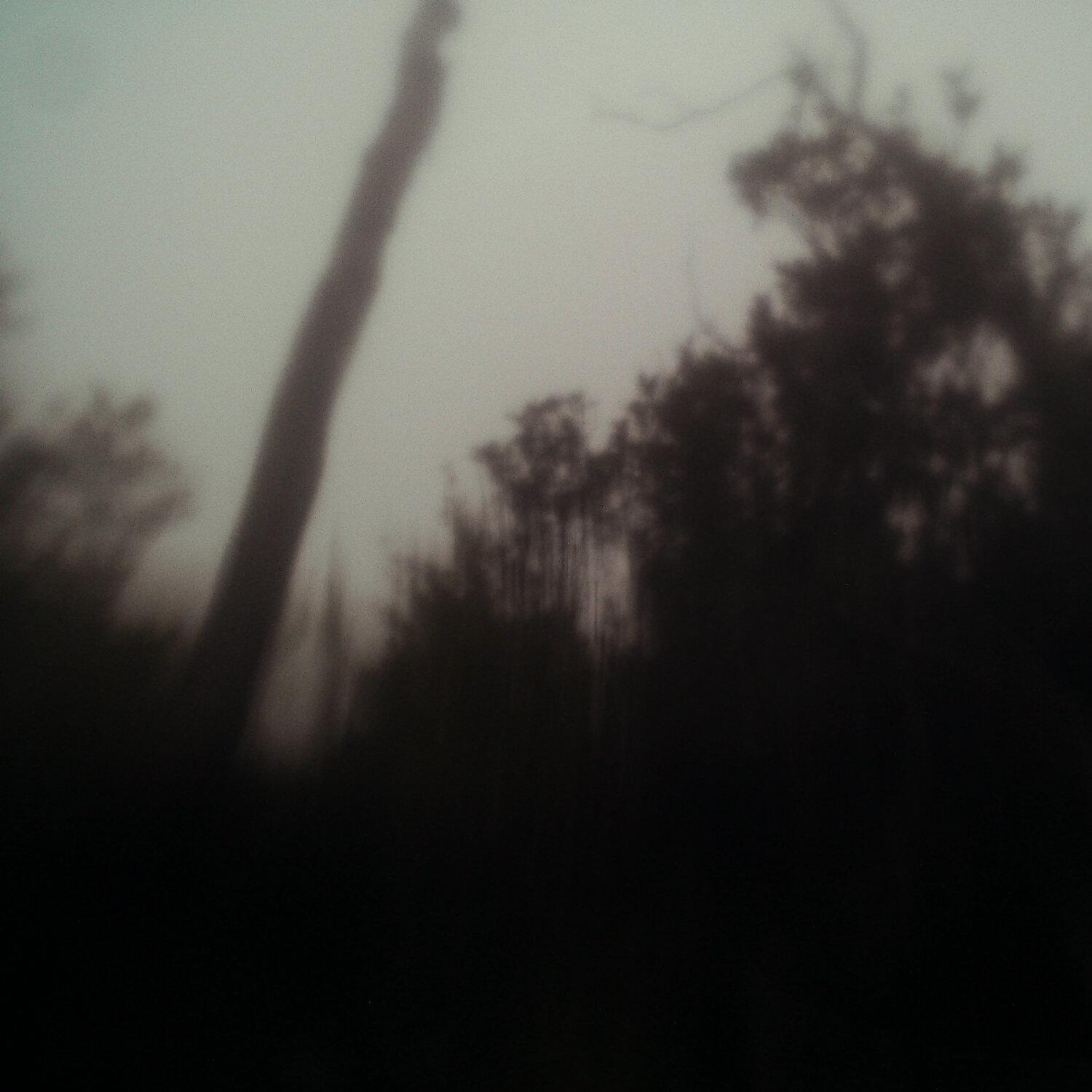 A photo captured from the webcam at the time the audio was recorded