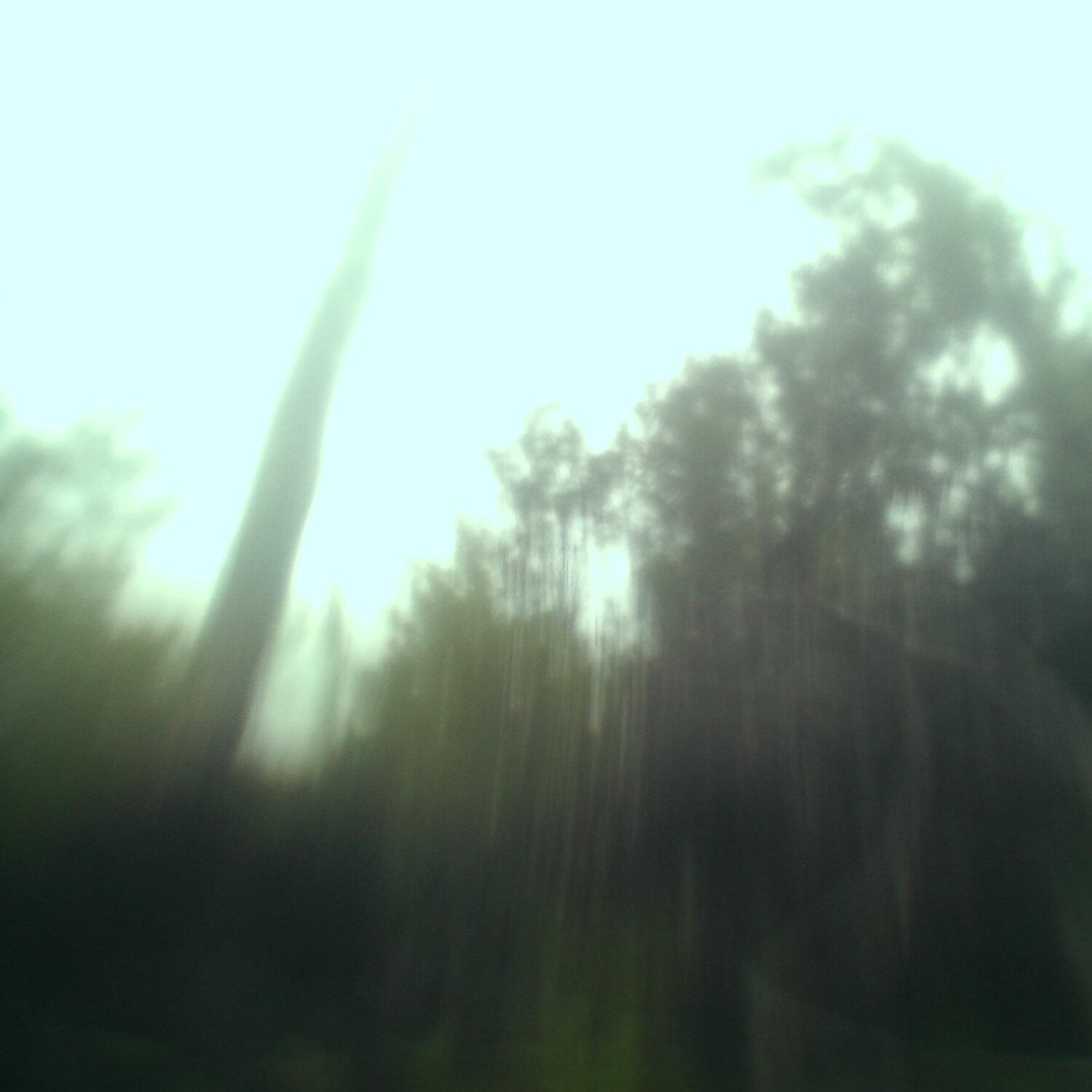 A photo captured from the webcam at the time the audio was recorded