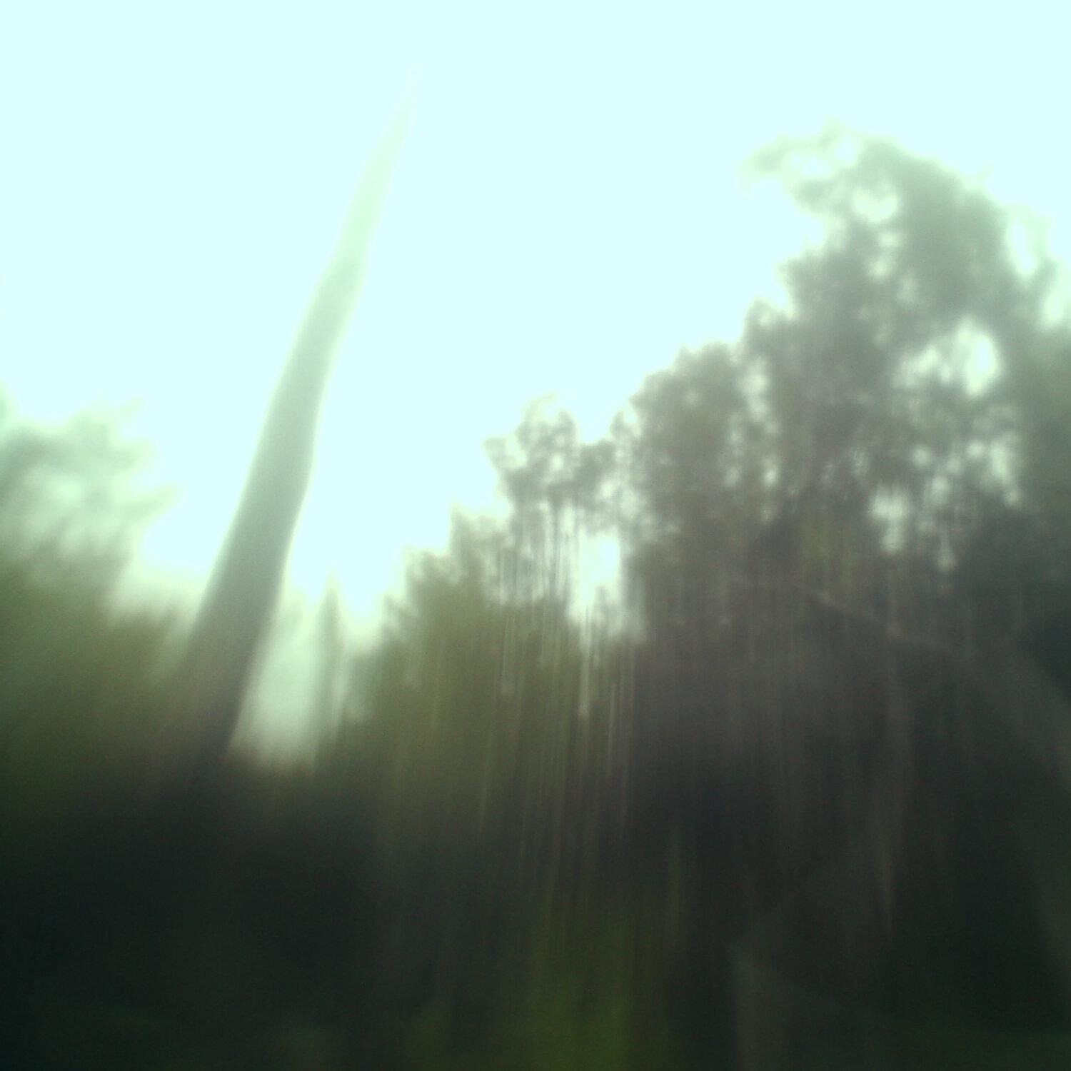 A photo captured from the webcam at the time the audio was recorded