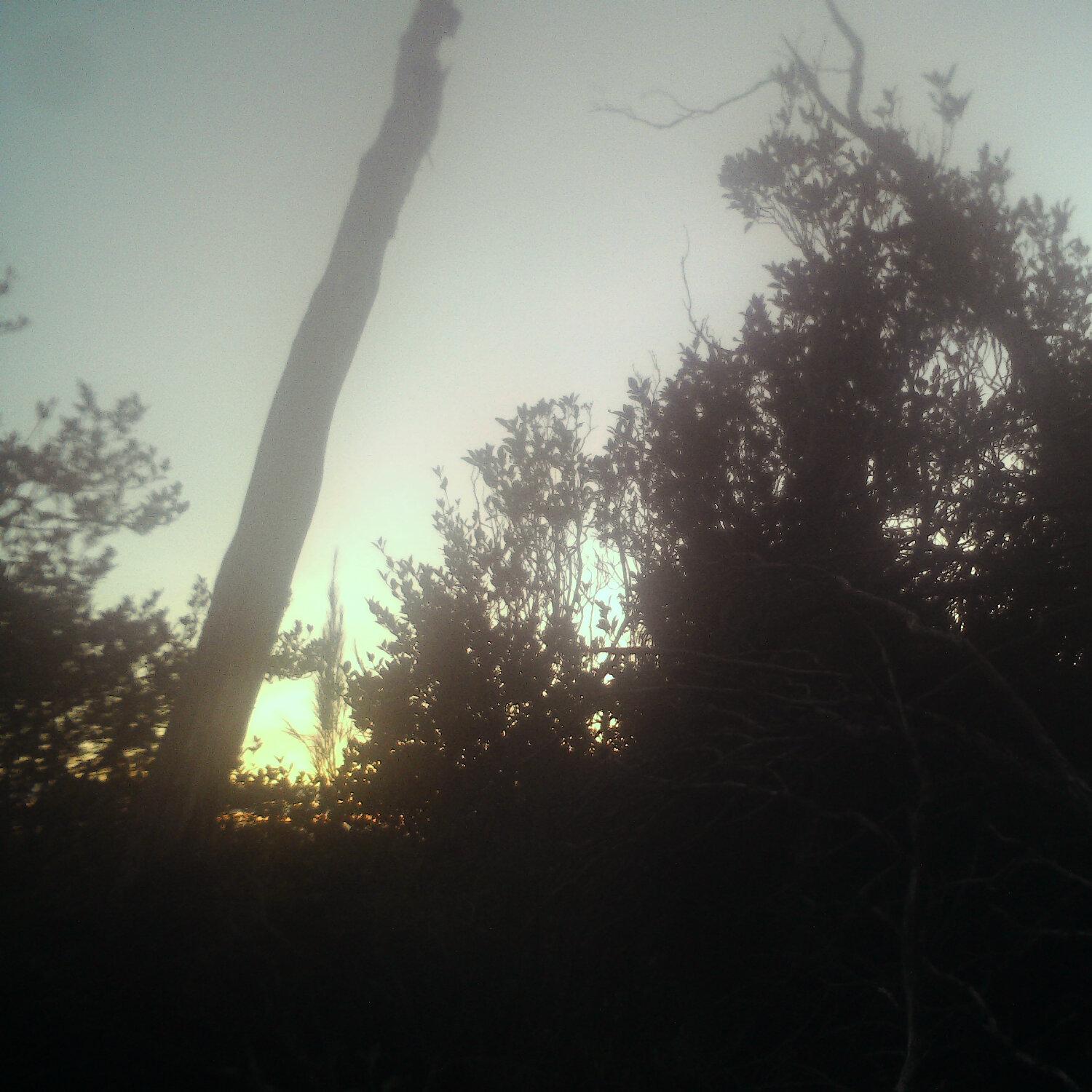 A photo captured from the webcam at the time the audio was recorded