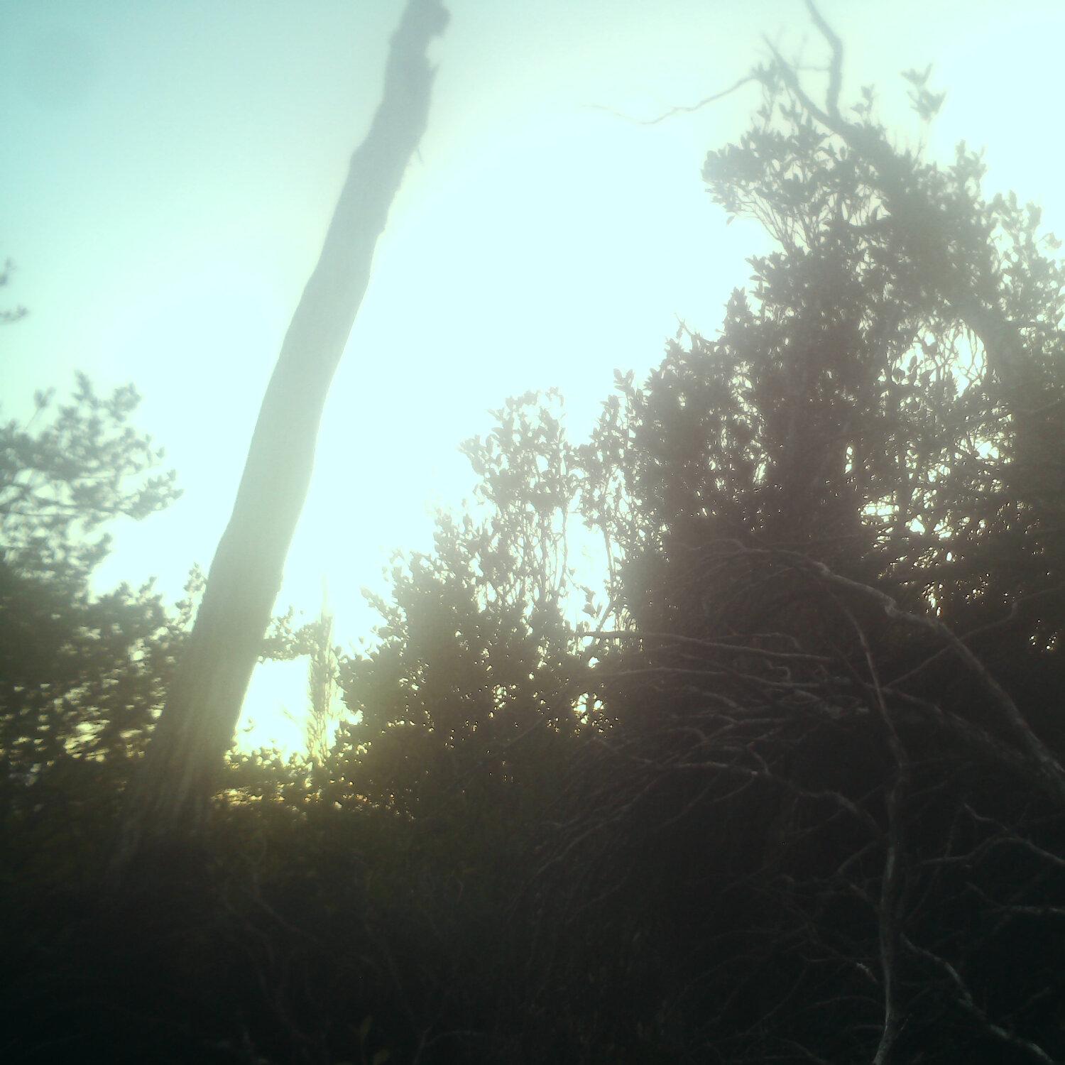 A photo captured from the webcam at the time the audio was recorded