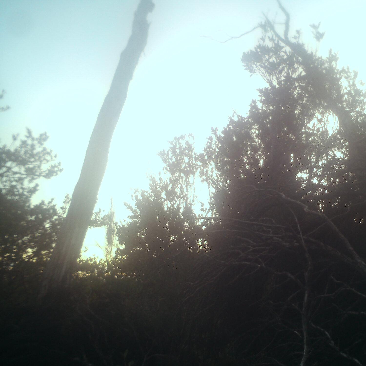 A photo captured from the webcam at the time the audio was recorded