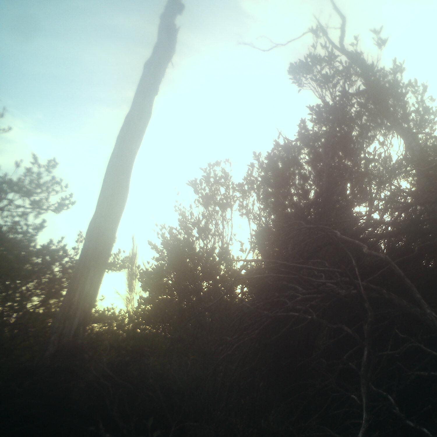 A photo captured from the webcam at the time the audio was recorded