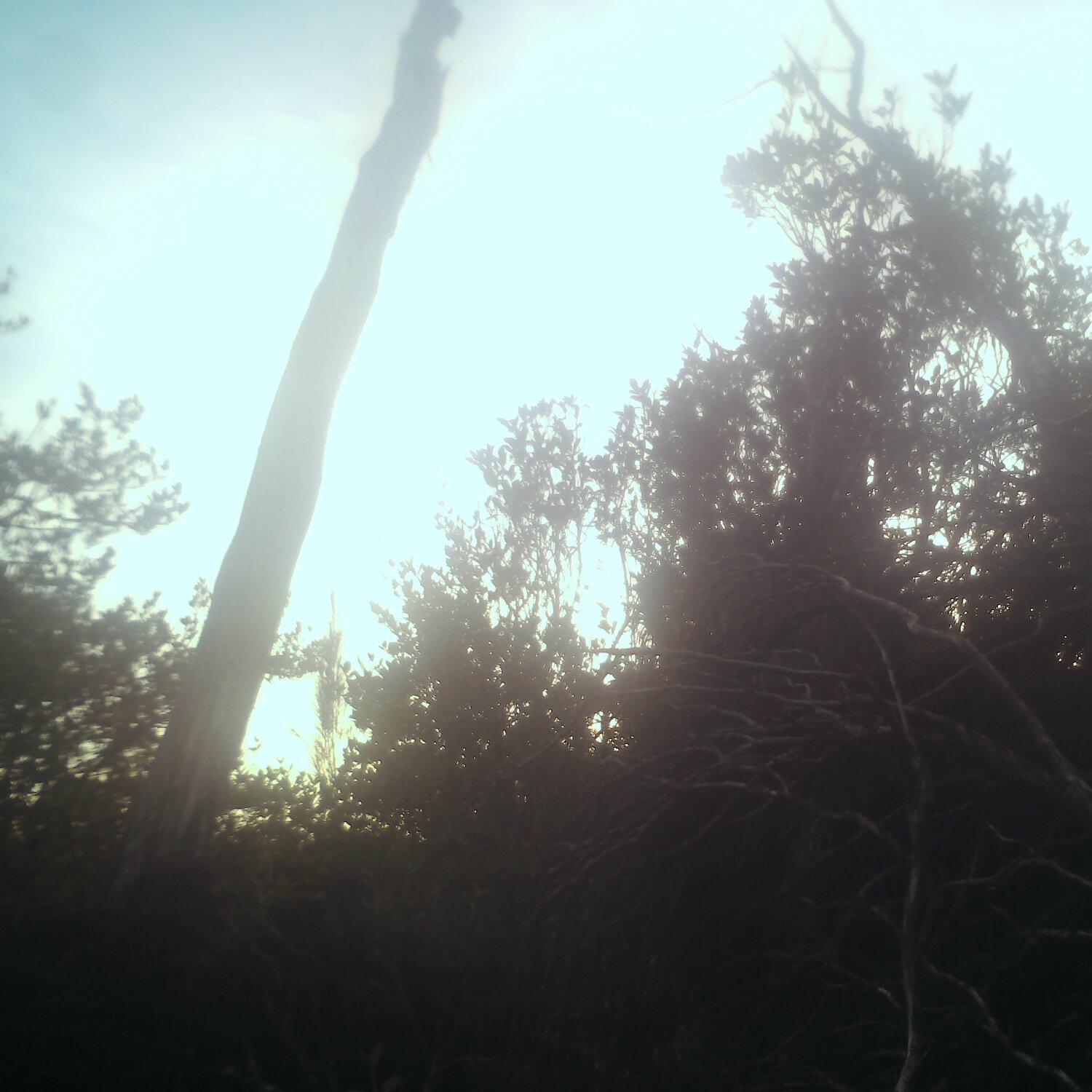 A photo captured from the webcam at the time the audio was recorded