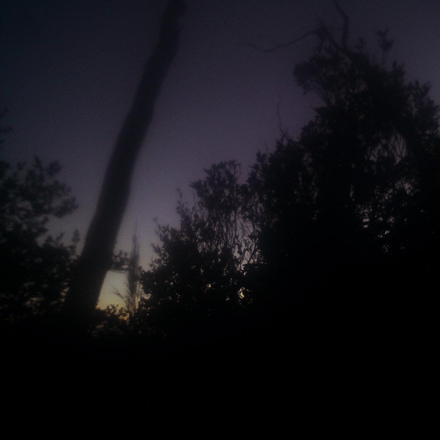 A photo captured from the webcam at the time the audio was recorded