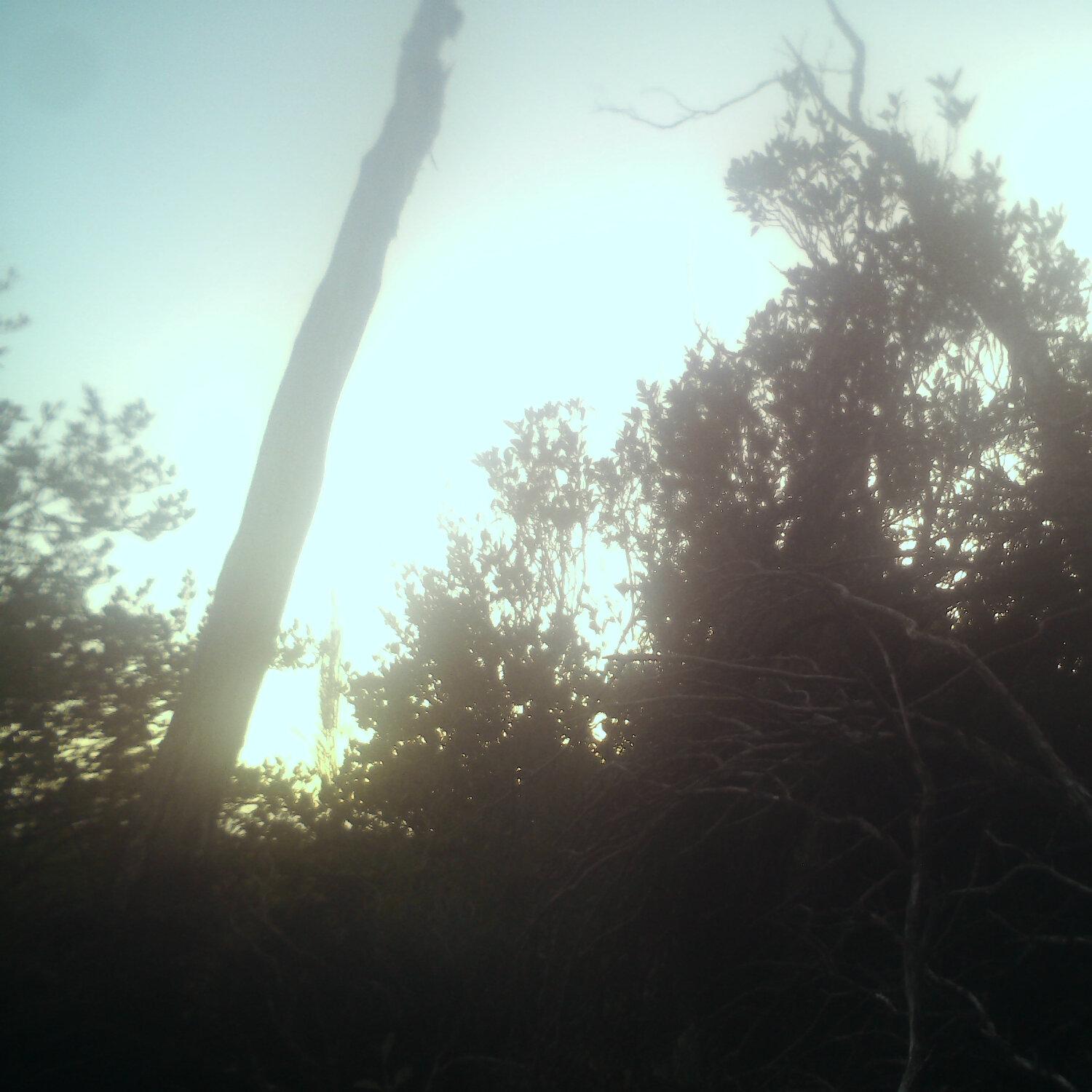 A photo captured from the webcam at the time the audio was recorded