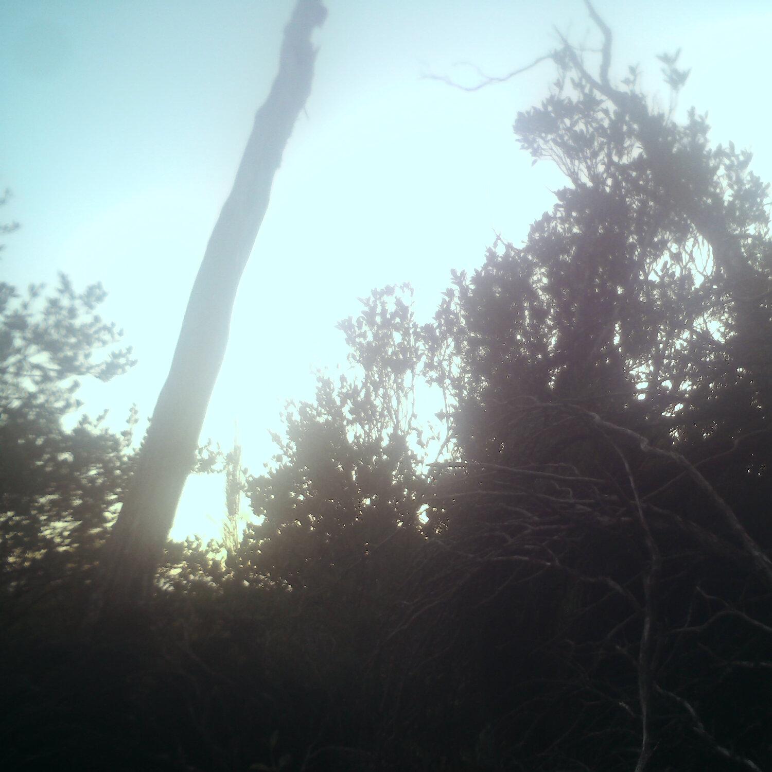 A photo captured from the webcam at the time the audio was recorded